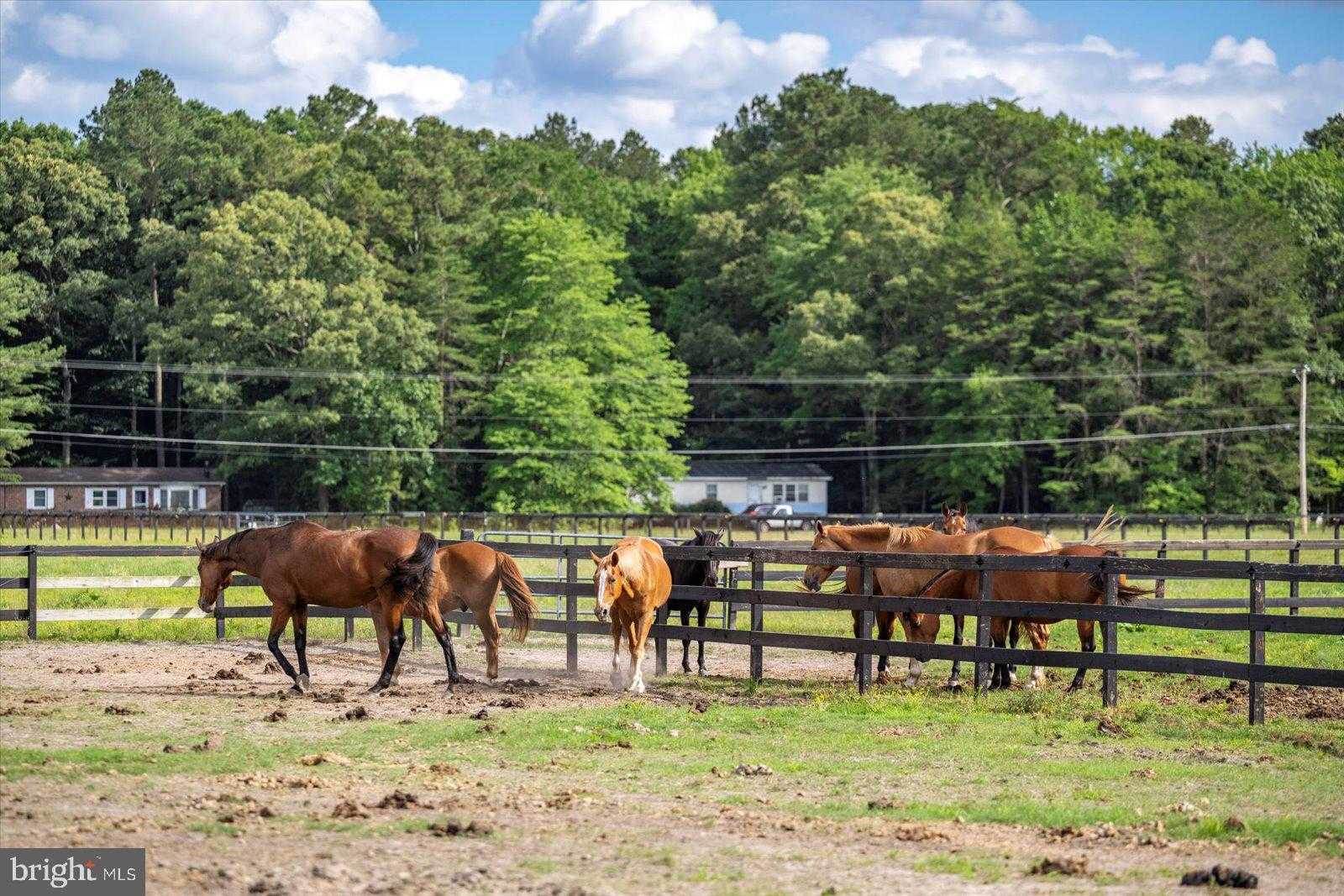 31191 Johnson Rd photo 85