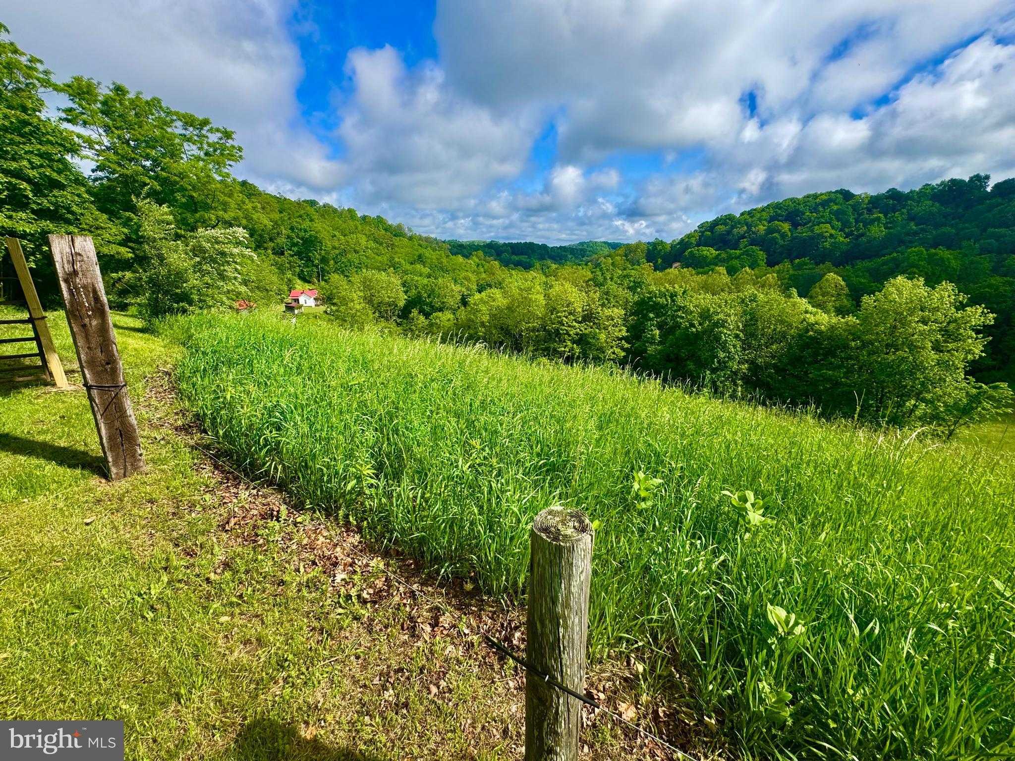 14451 Proctor Creek Rd photo 4