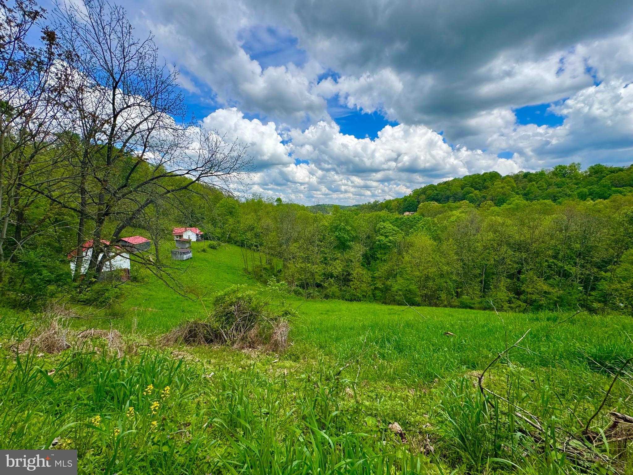 14451 Proctor Creek Rd photo 8