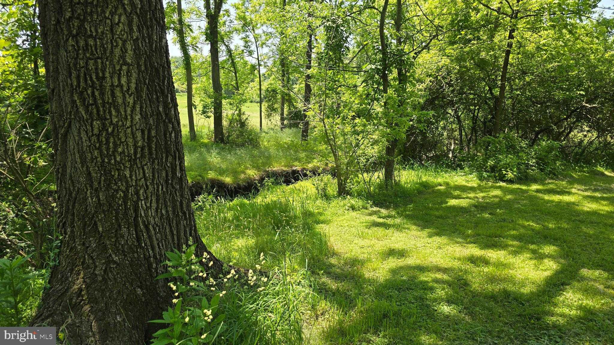 1830 Geryville Pike photo 51