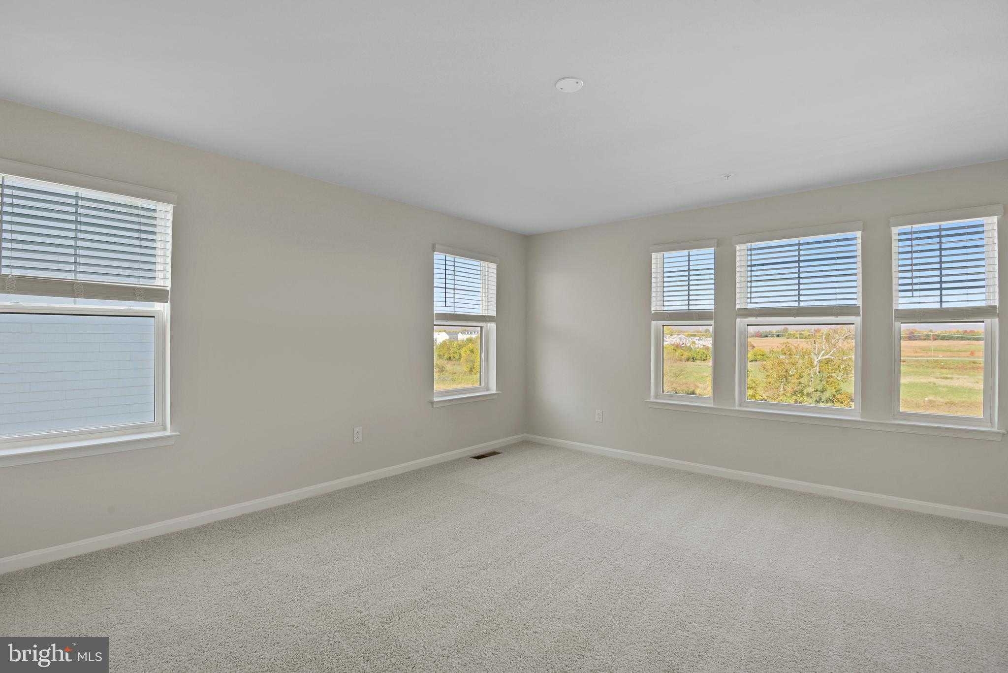 1113 Muddy Branch CT photo 14