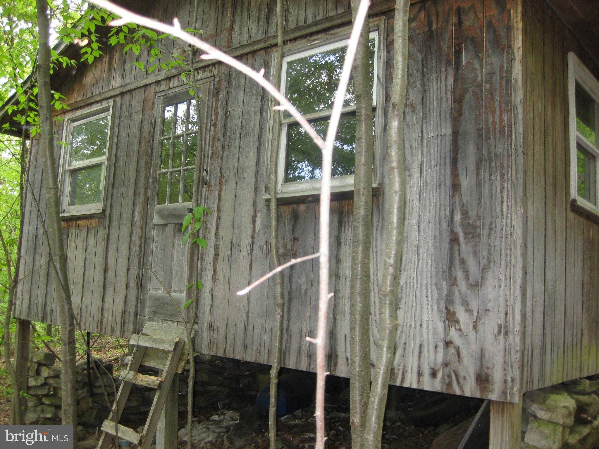 20526 Laurel Mountain Rd photo 5