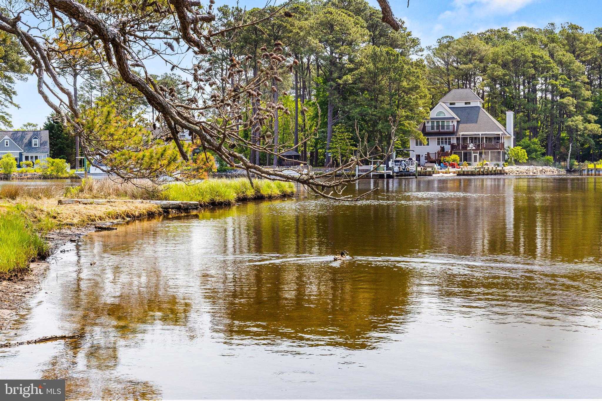 10130 Silver Point Ln photo 27