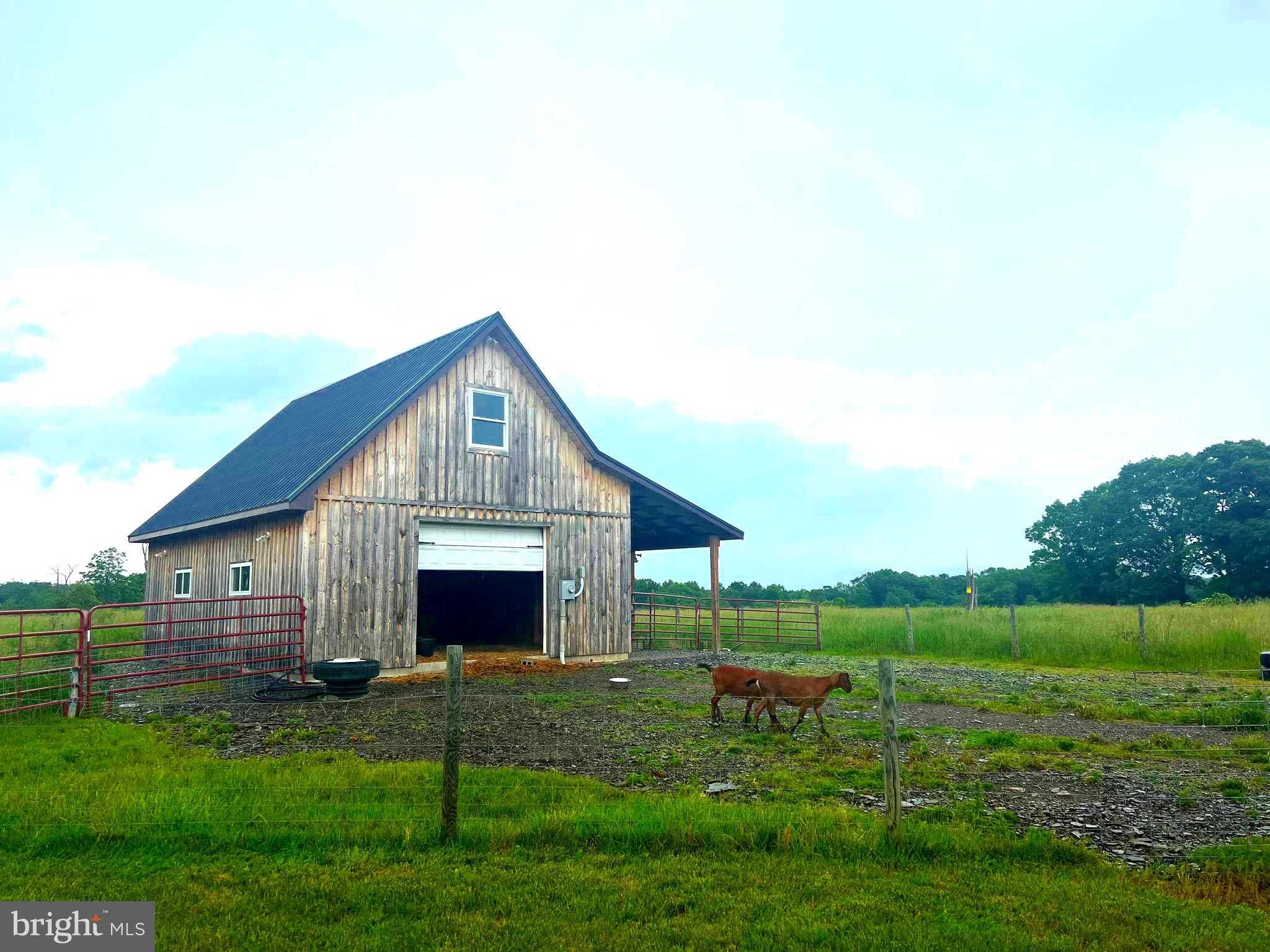 1924 Winding Ln photo 100