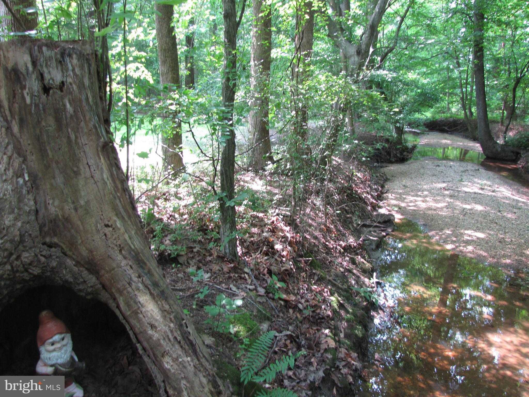 29414 Andrew Ln photo 43