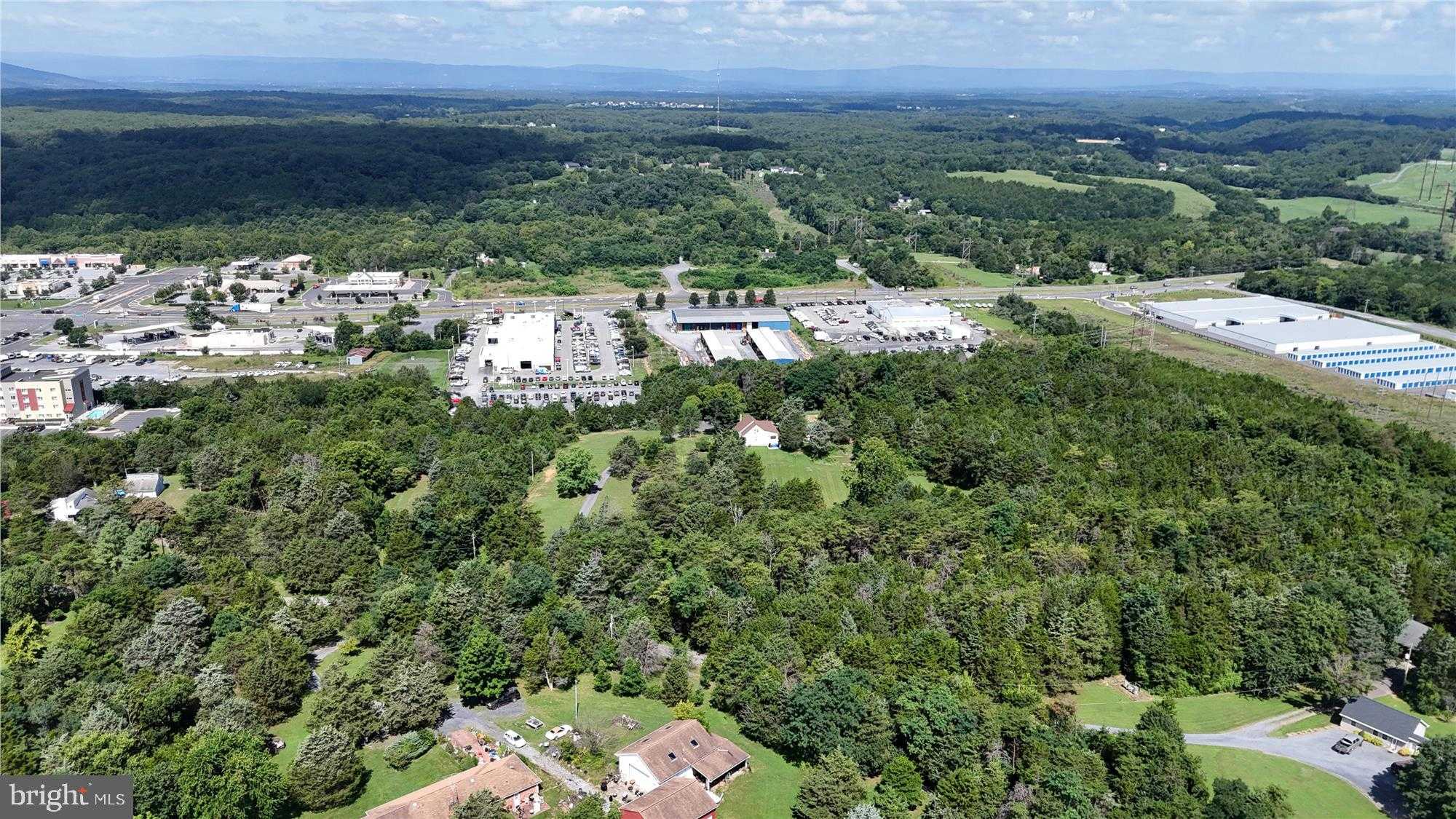 167 Cedar Park CT photo 13