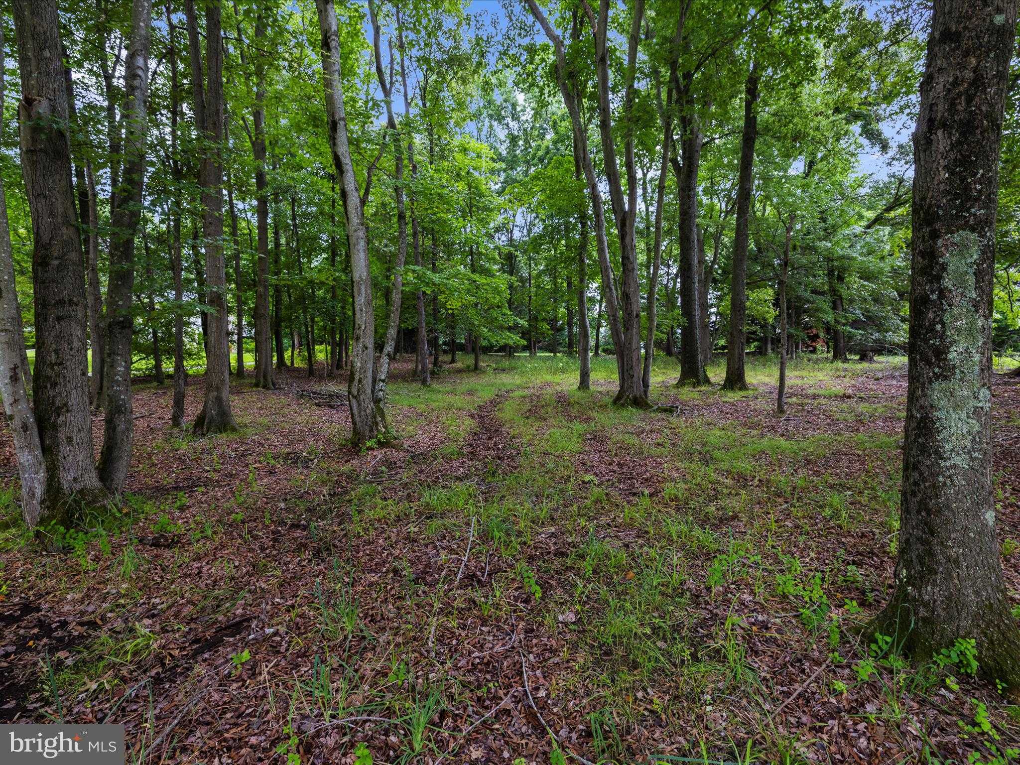 3268 Kitty Duvall Dr photo 12