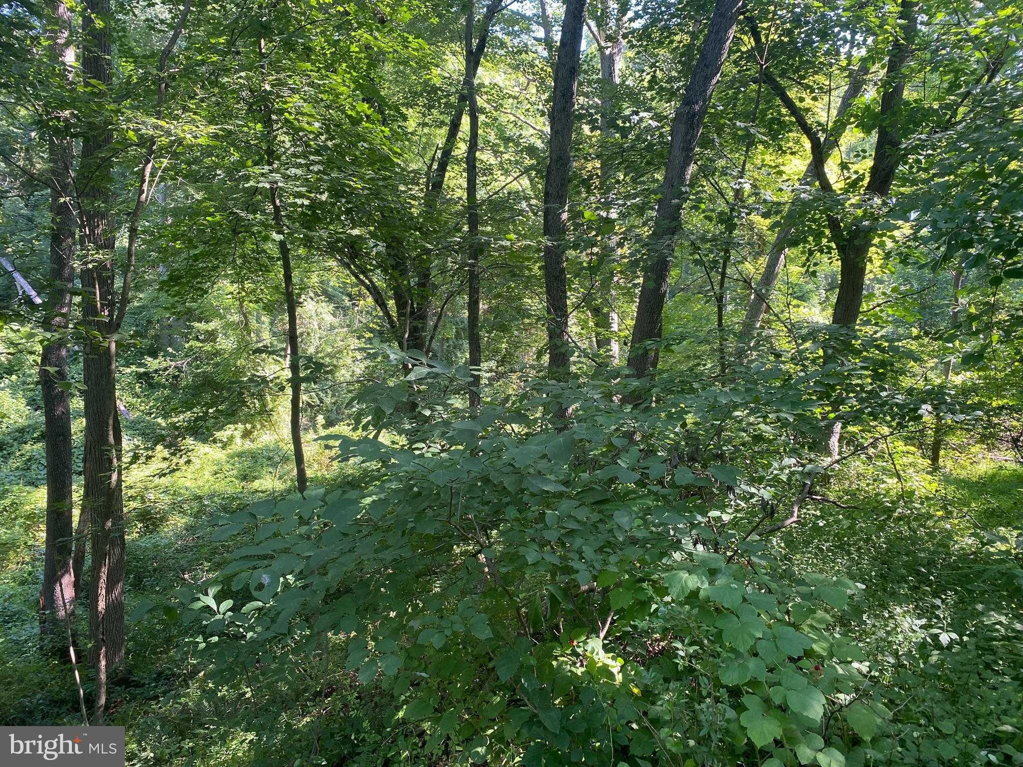 N Carroll St photo 70