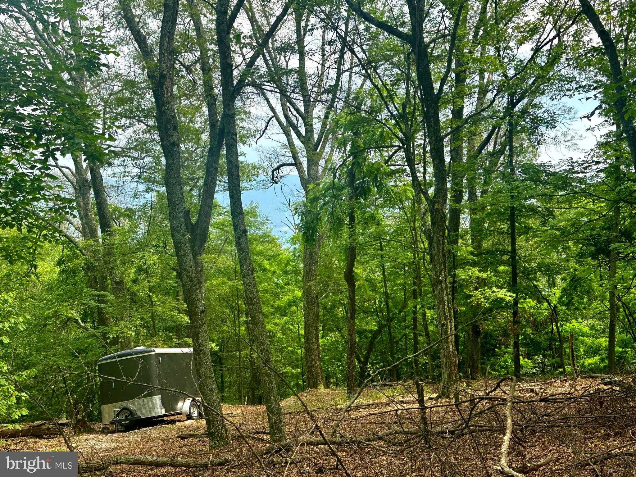 5592 High Knob Rd photo 25