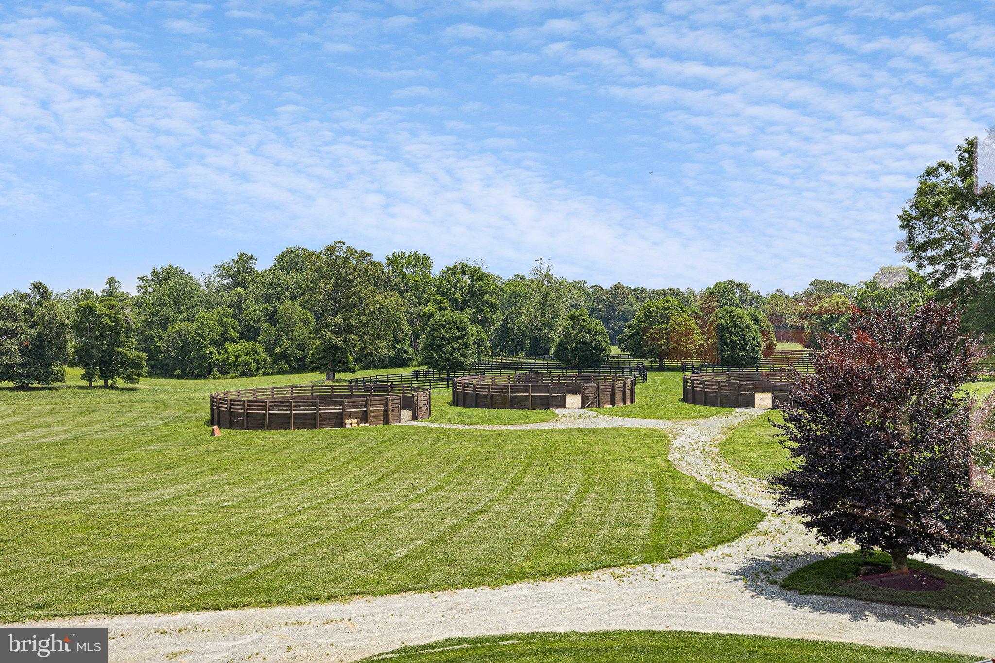 1455 Cayots Corner Rd photo 64