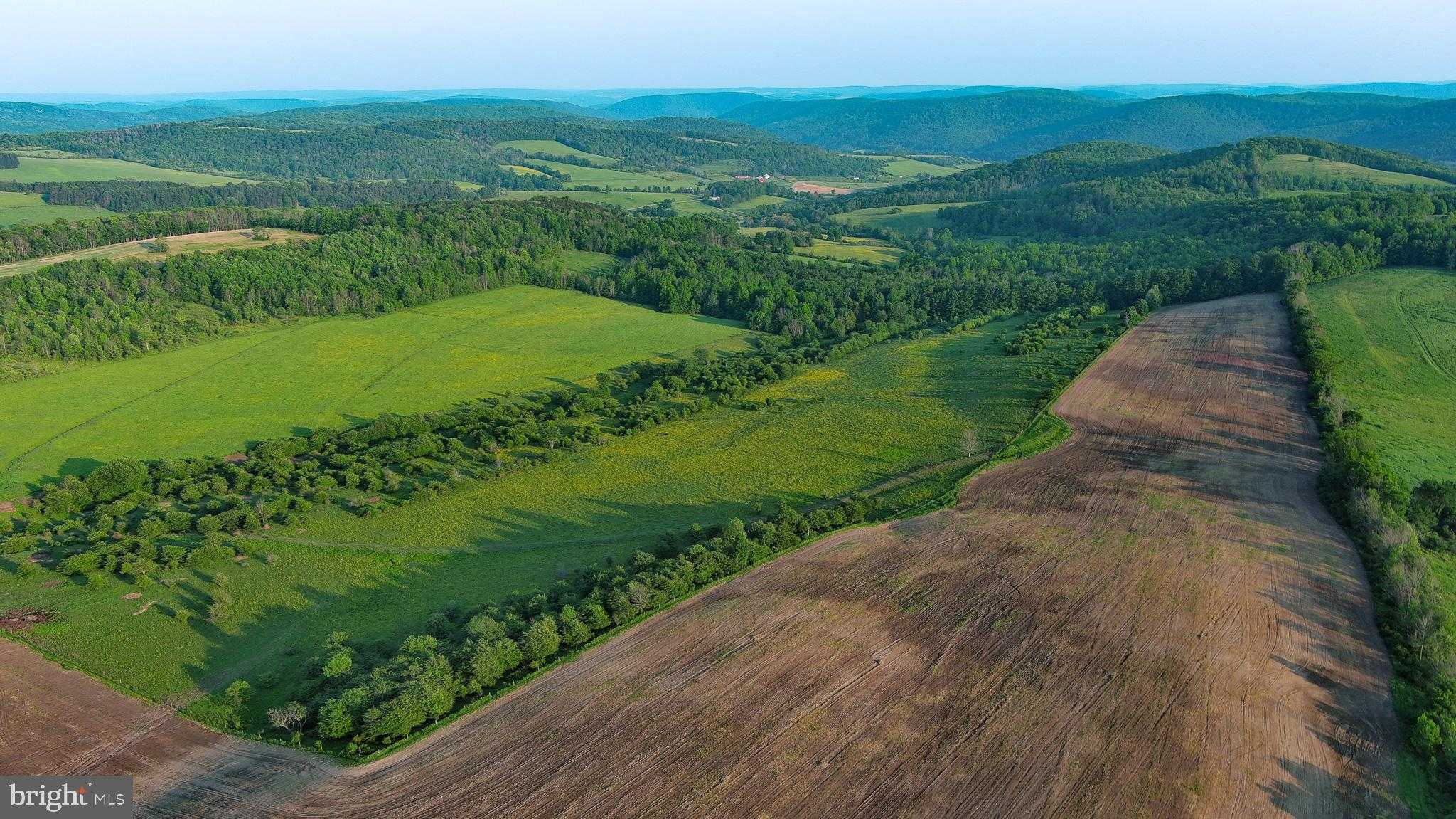 2060 Rietter Hill Rd photo 32