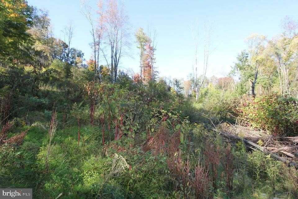 Hospital Ave photo 3