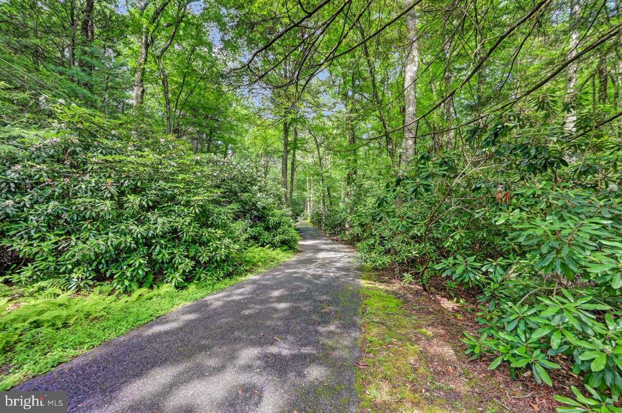 217 Lower Valley Dr photo 97