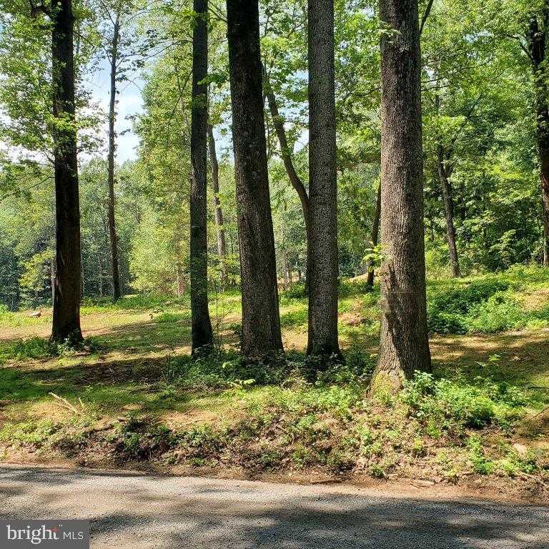 10102 Old Ashville Rd photo 4