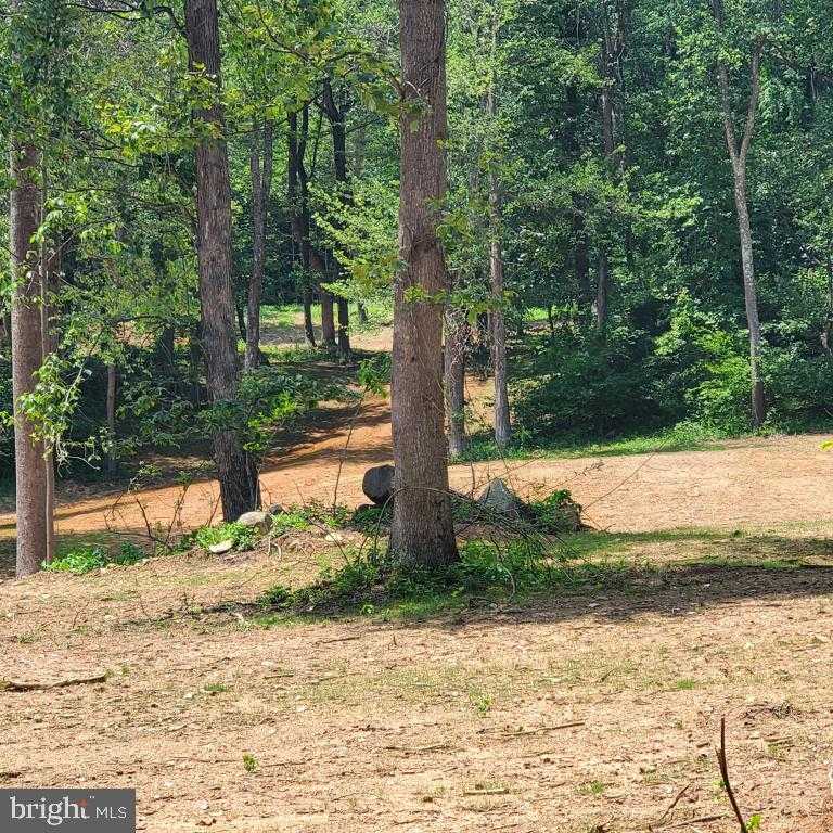 10102 Old Ashville Rd photo 5