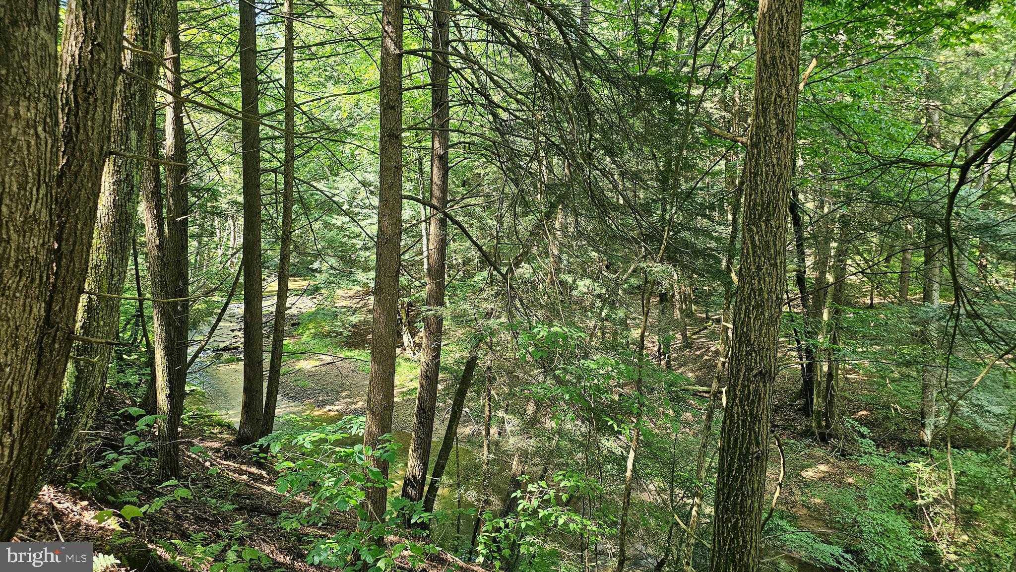 Mahaffey Grampian Hwy photo 4