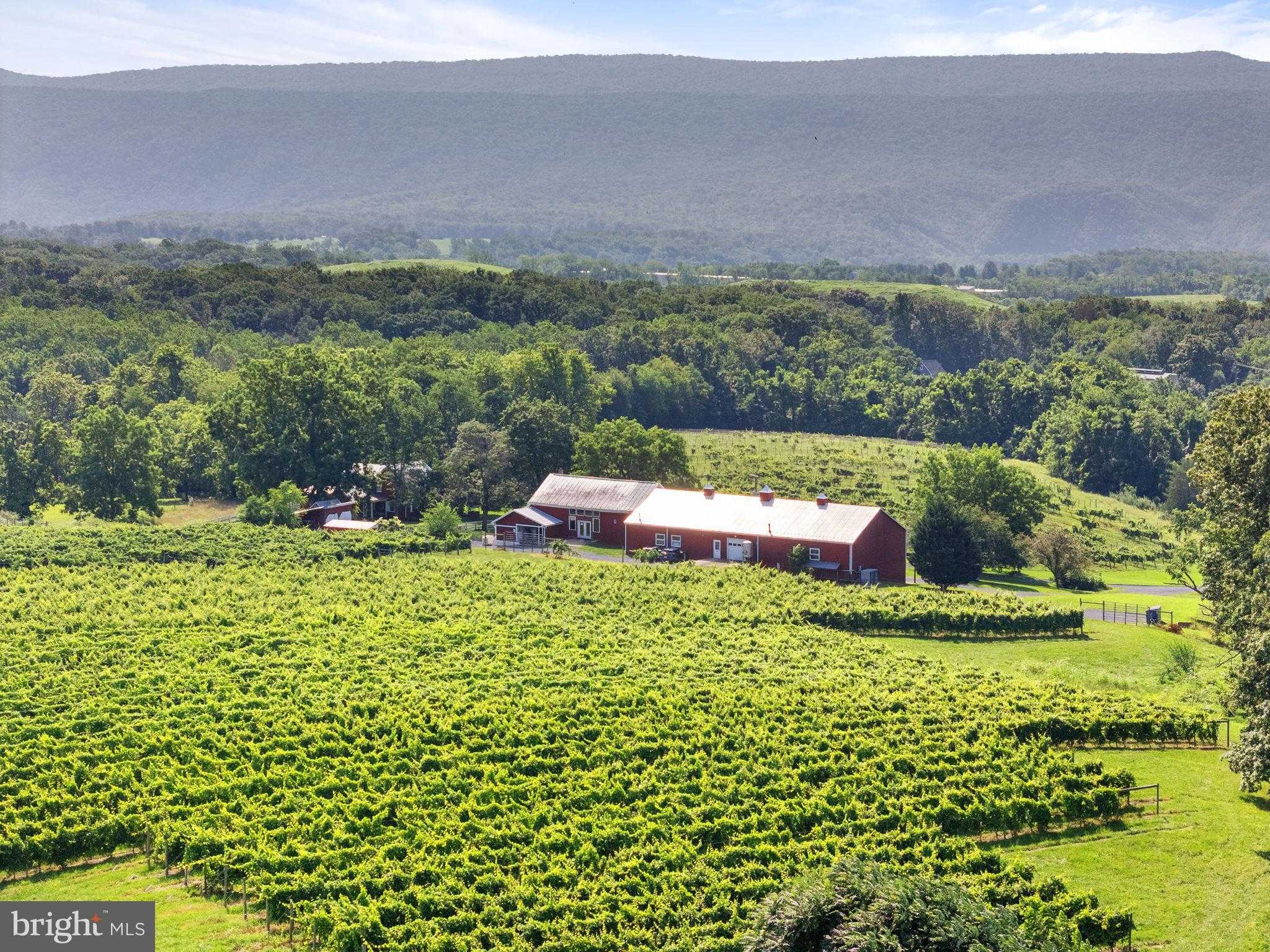 3659 S Ox Rd photo 4