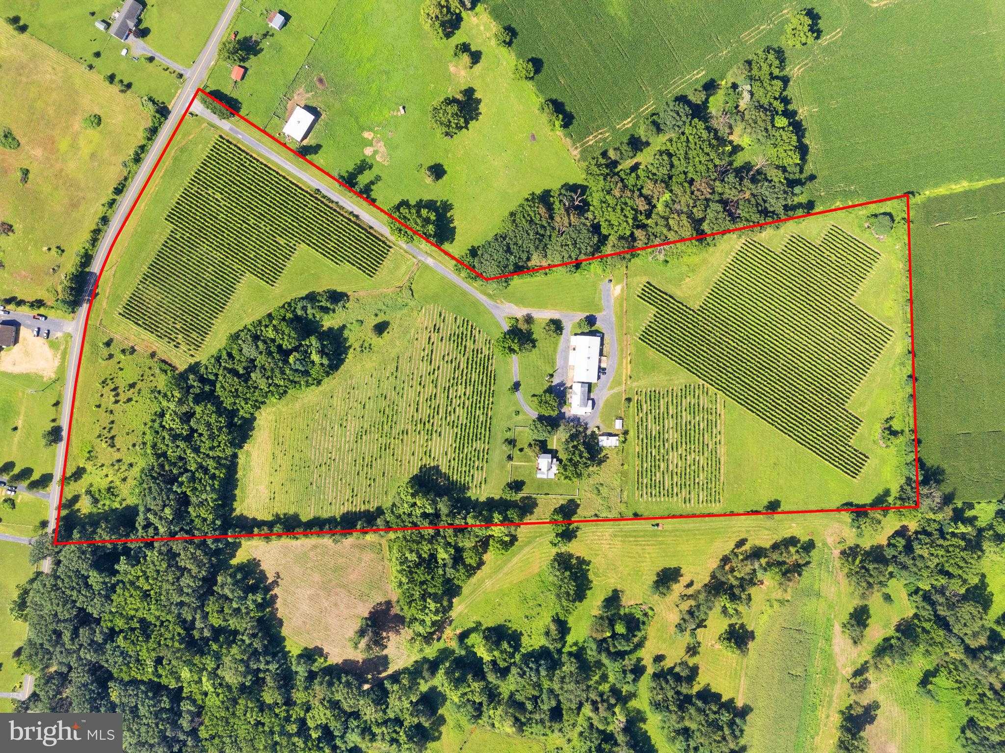 3659 S Ox Rd photo 5