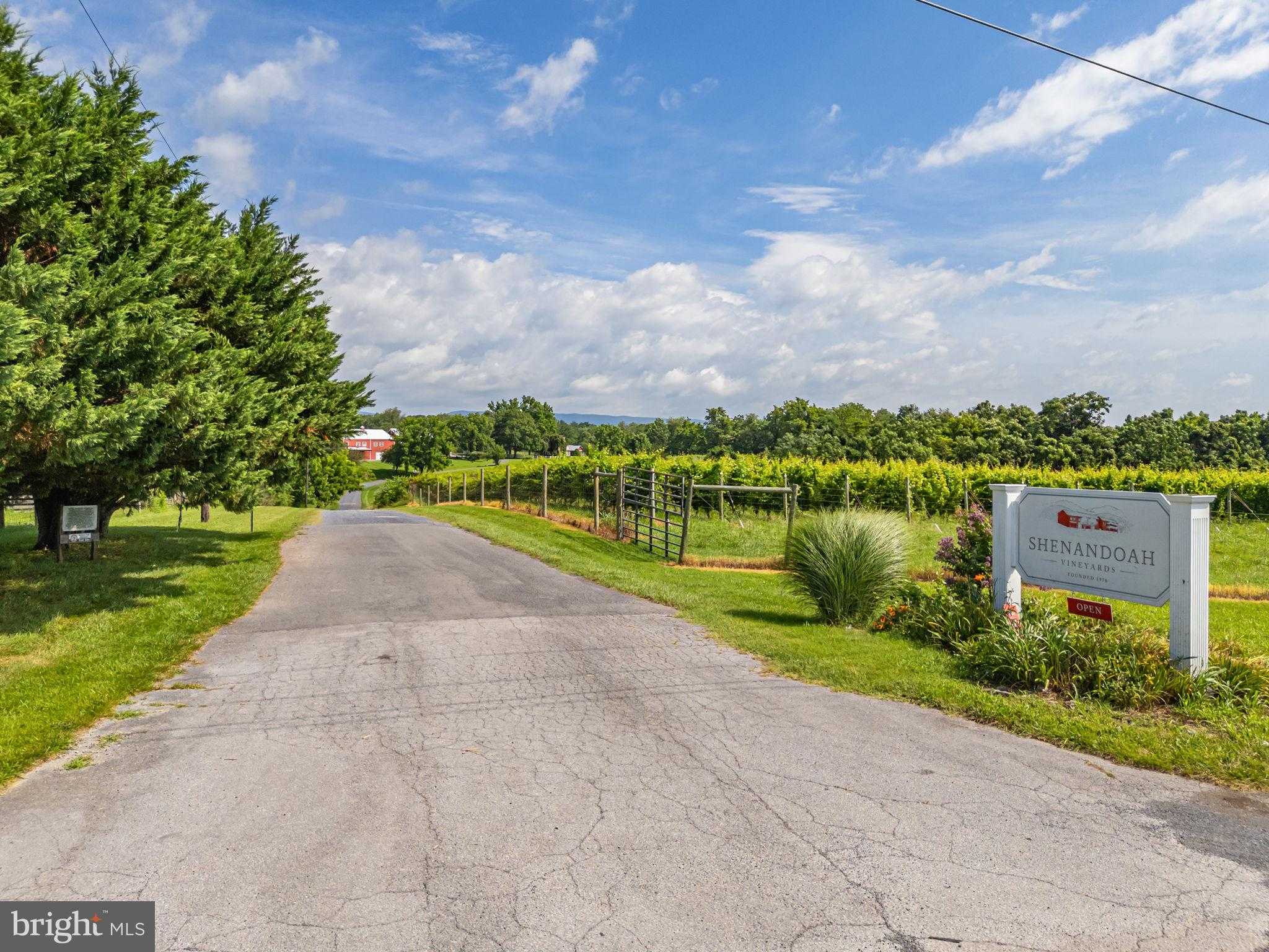 3659 S Ox Rd photo 6