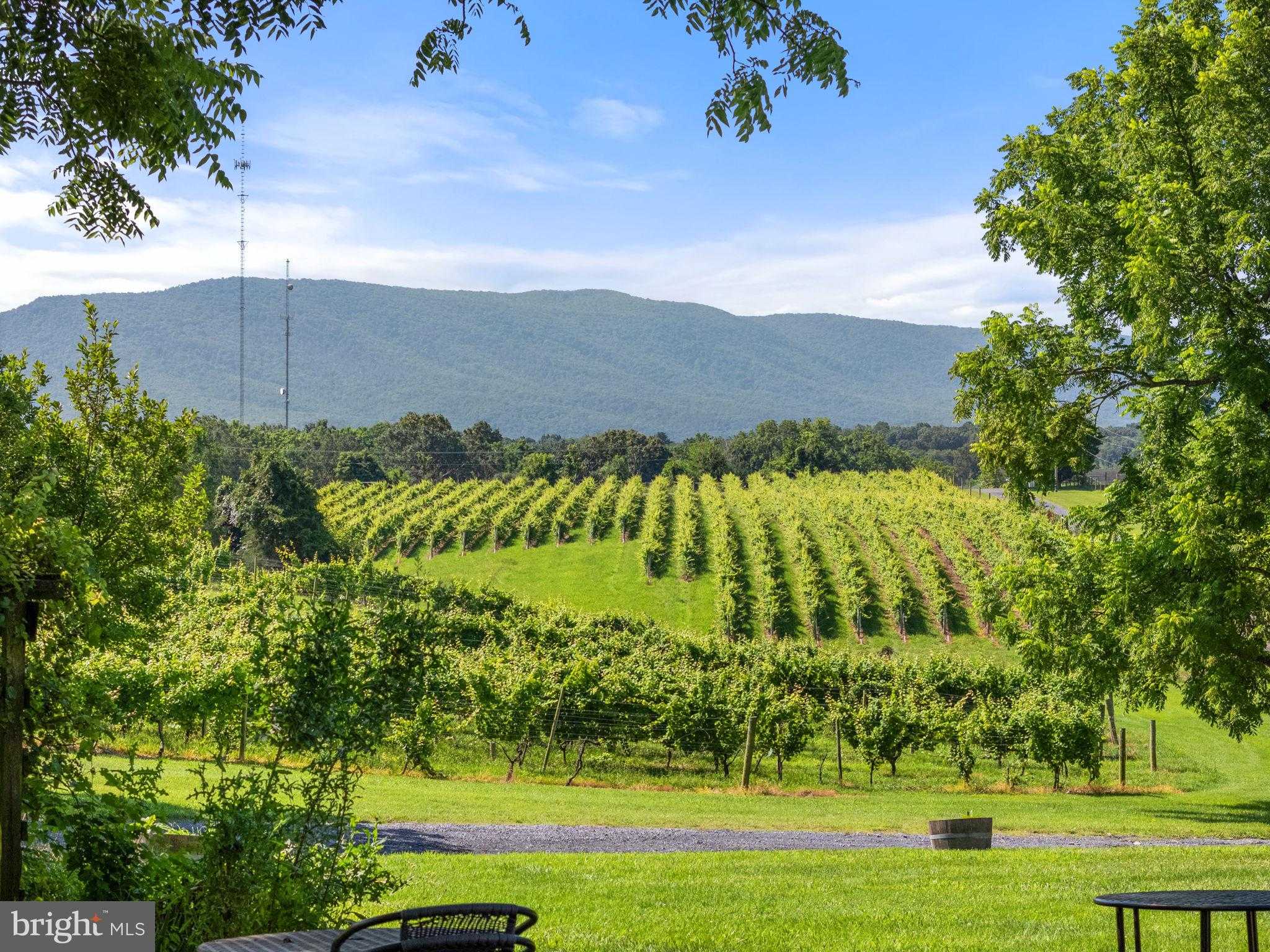 3659 S Ox Rd photo 63