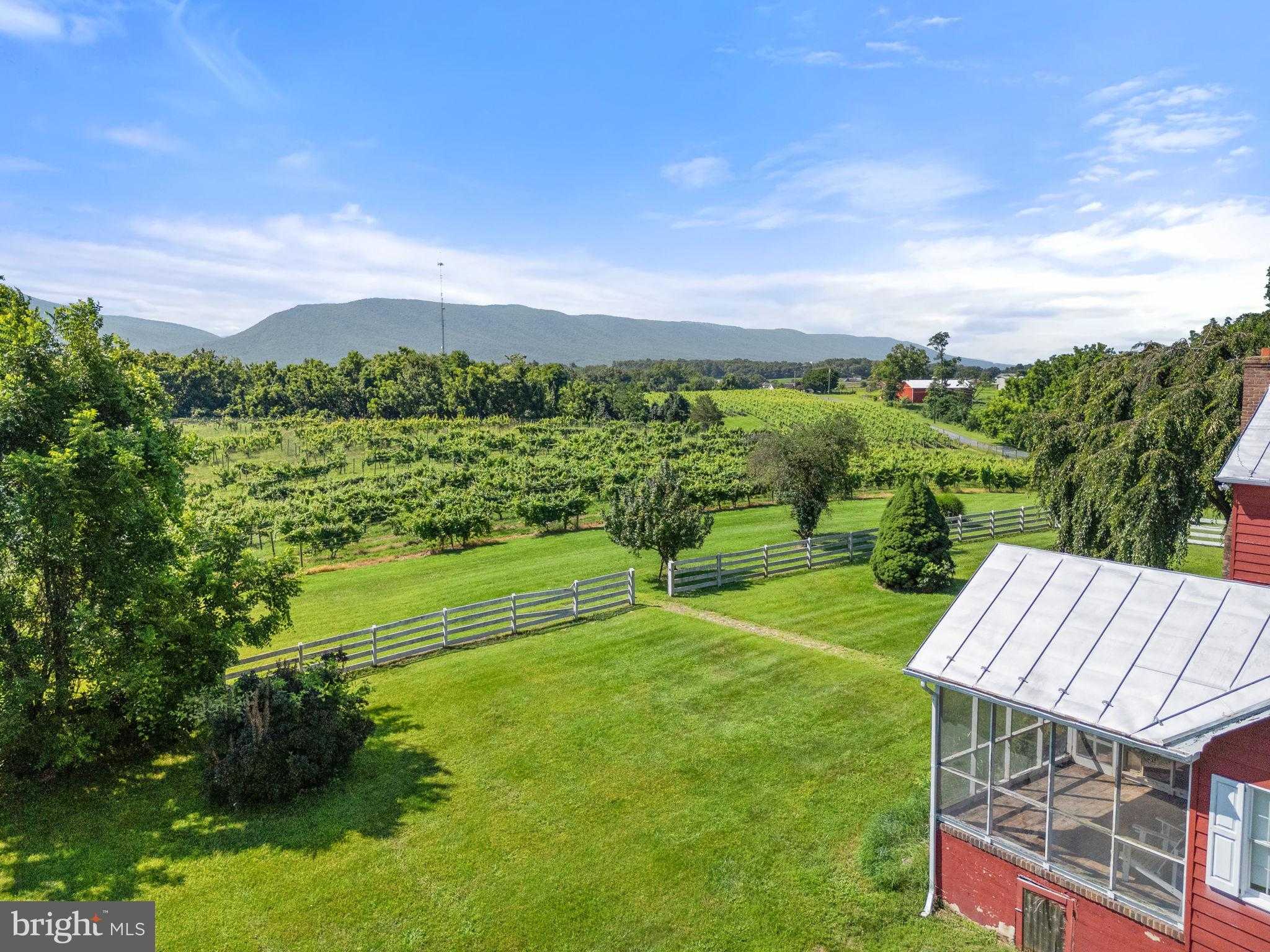 3659 S Ox Rd photo 64