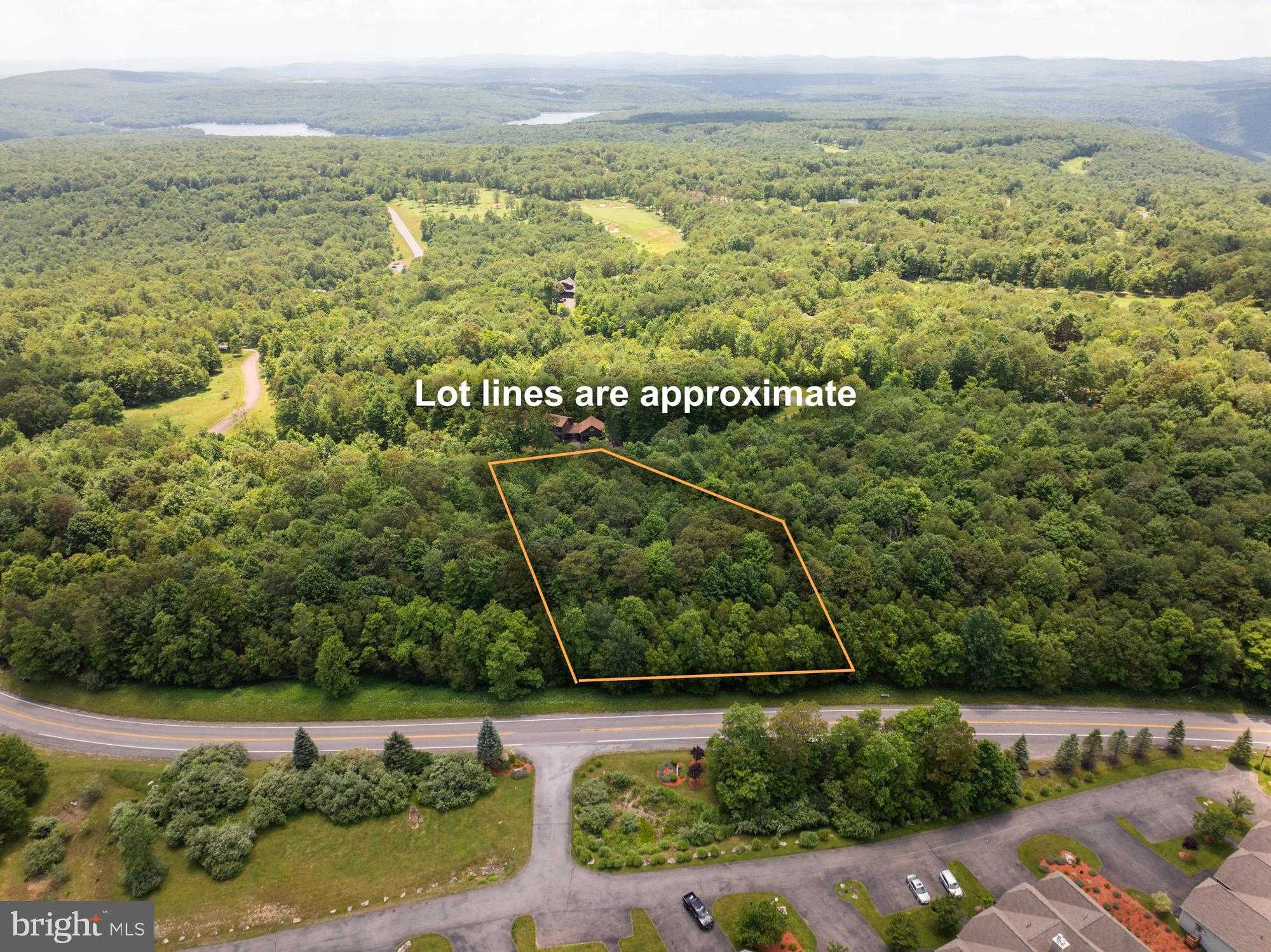 60 Snowhaven Ln photo 9