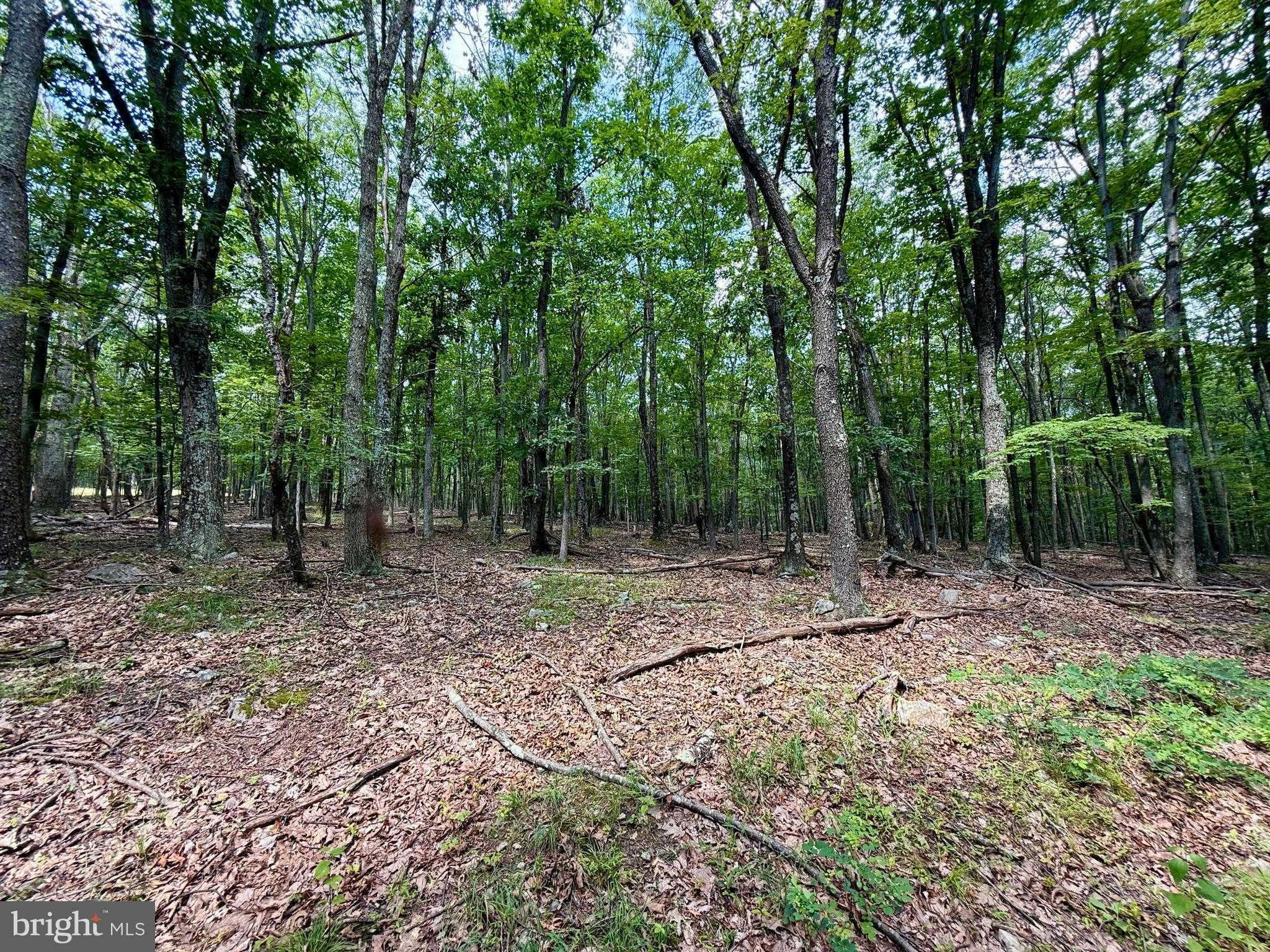 230 Polar Bear Rd photo 59