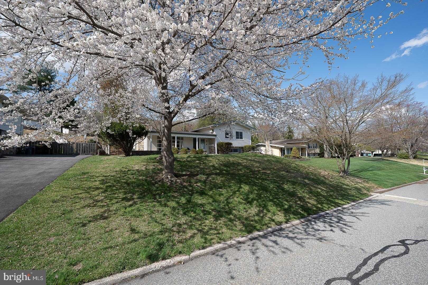 161 Lantern Ln photo 50