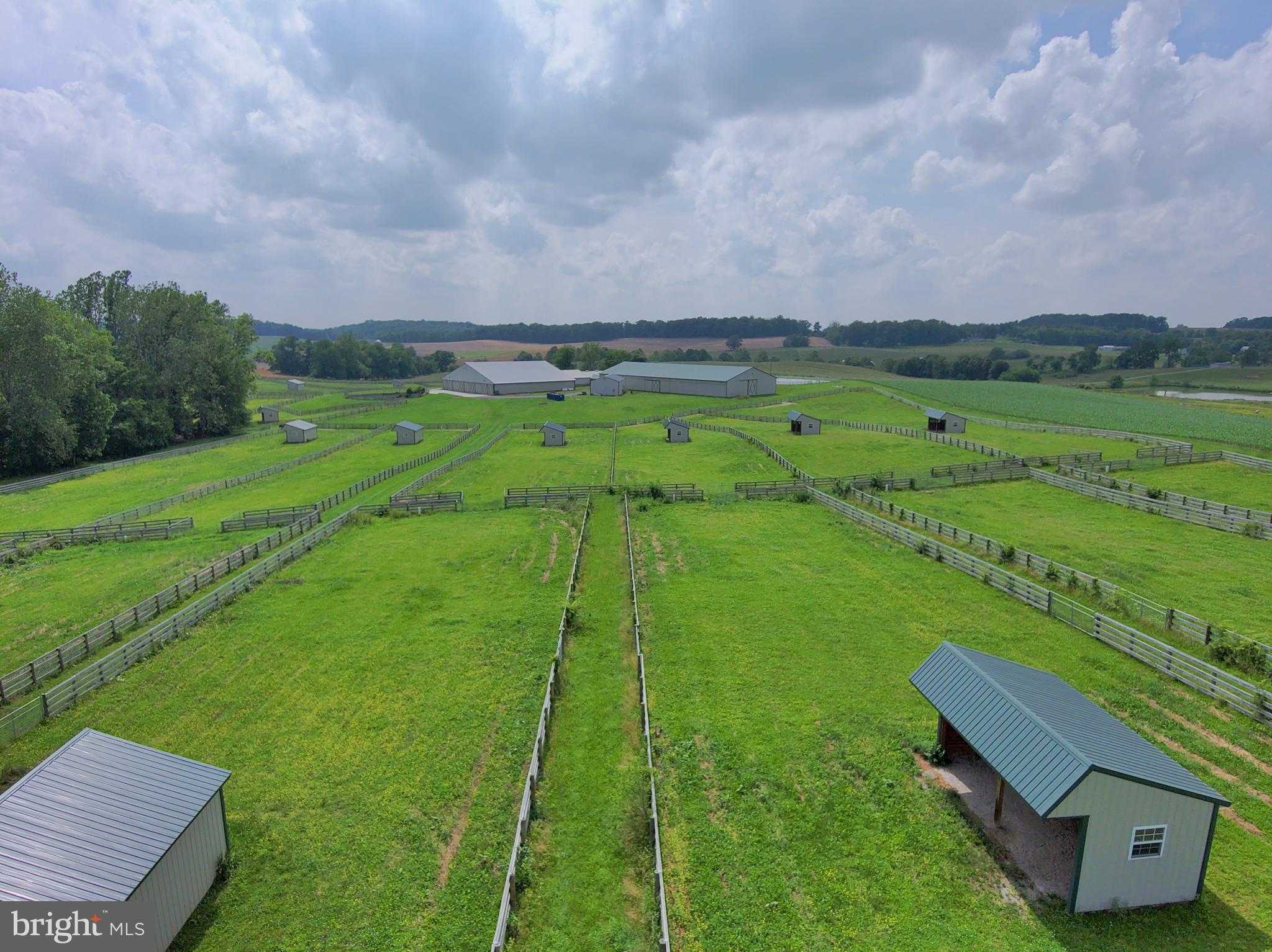 3875 Bark Hill Rd photo 51