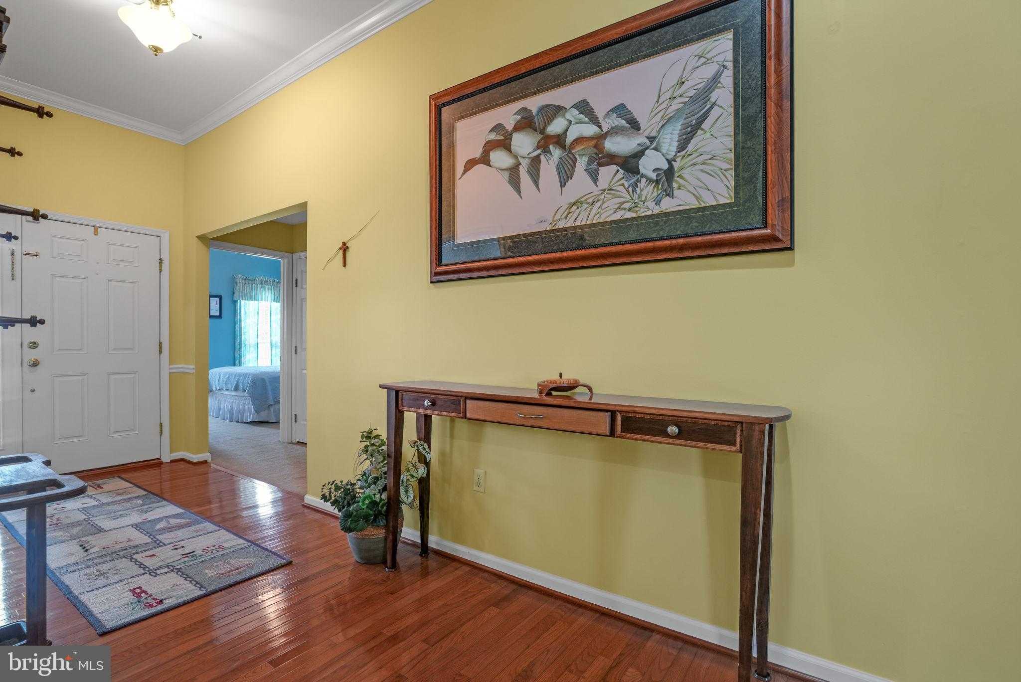 37292 Long Boat CT photo 4