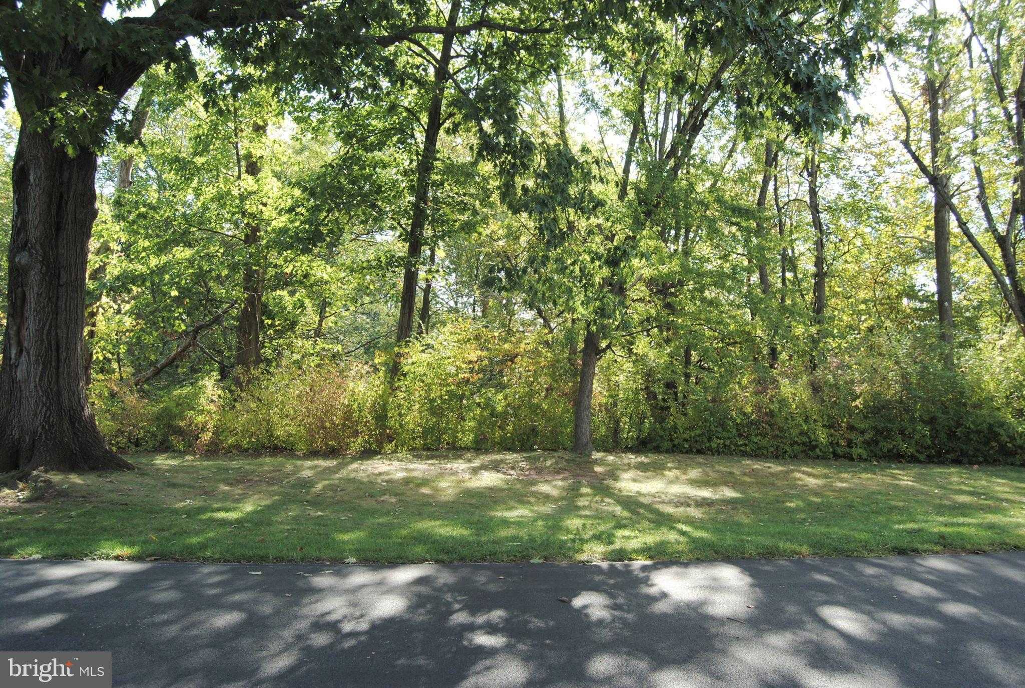 121 Woodstream Dr photo 21