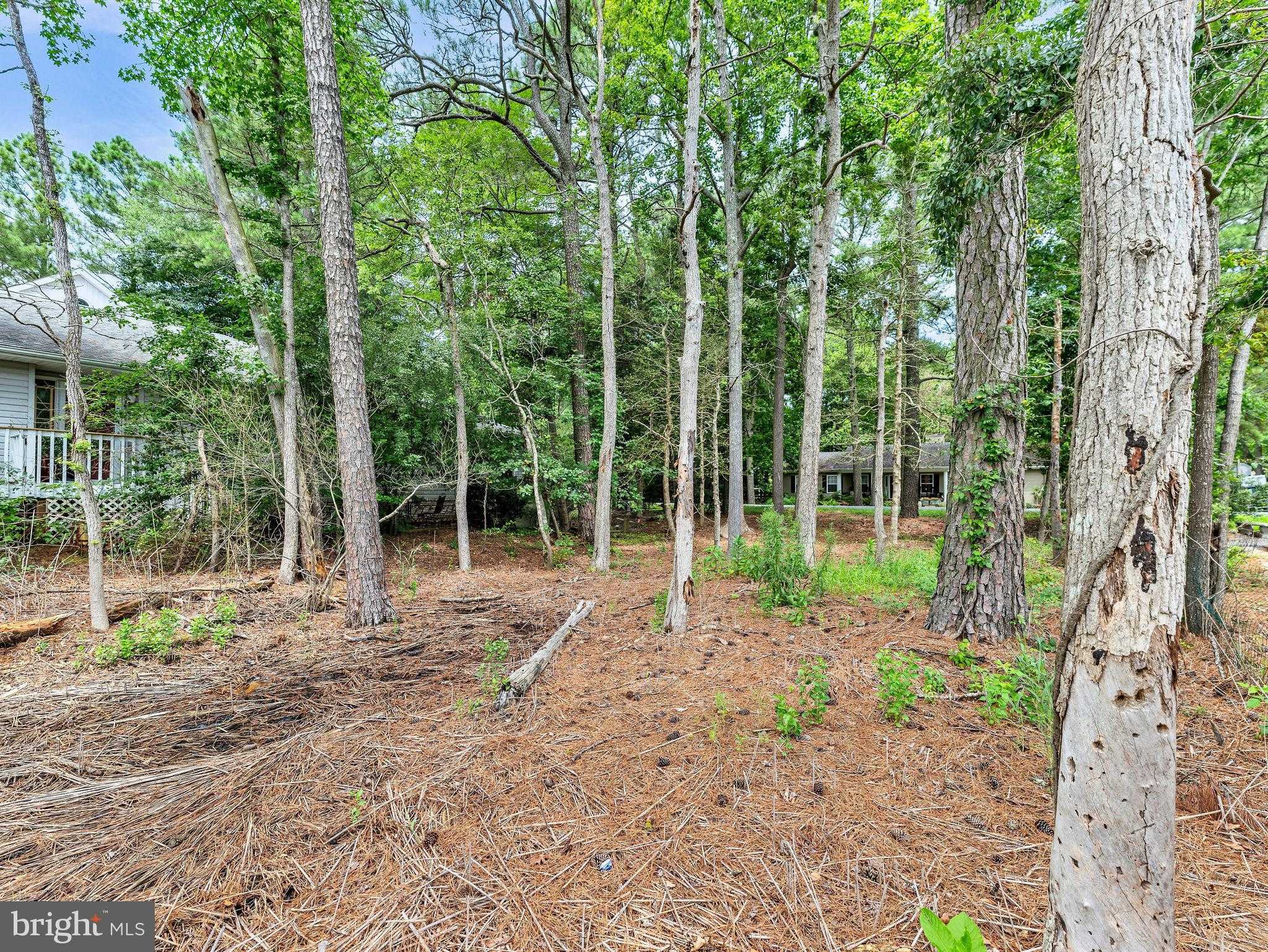 72 Boston Dr photo 11