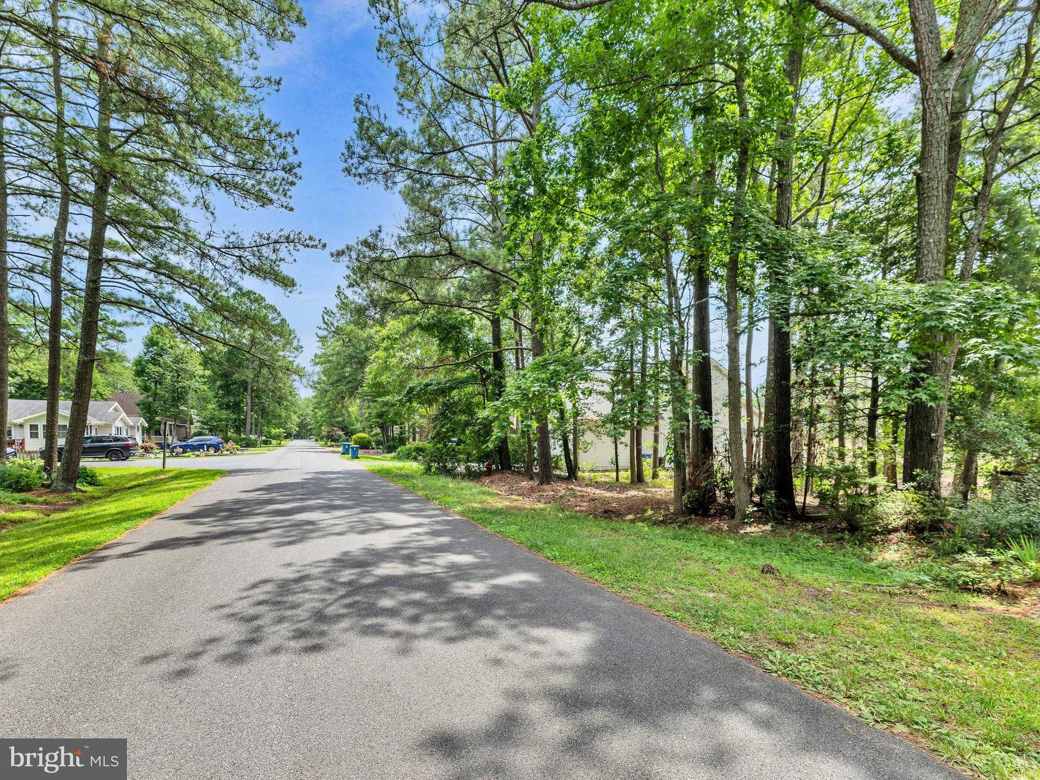 72 Boston Dr photo 12