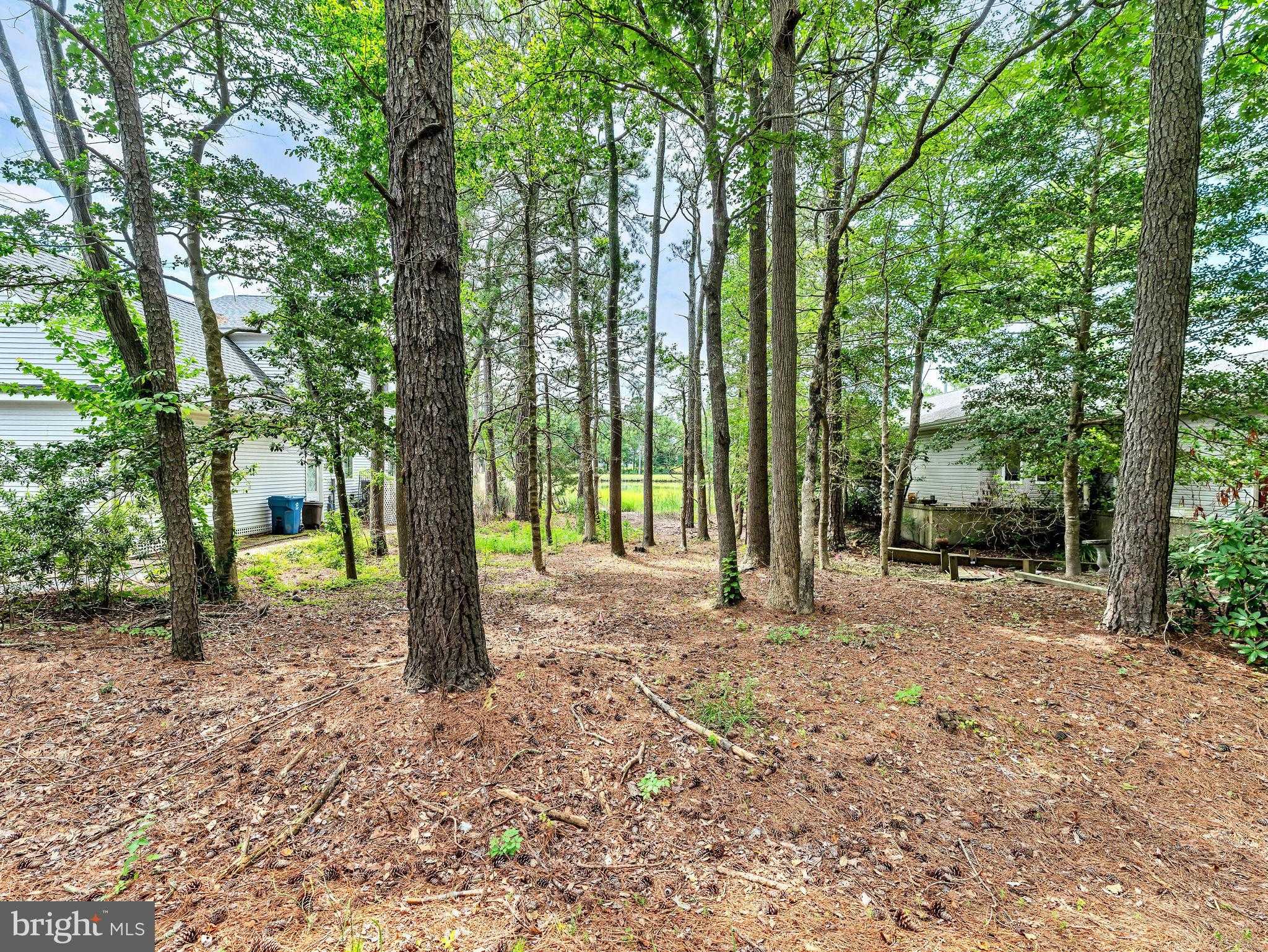 72 Boston Dr photo 15