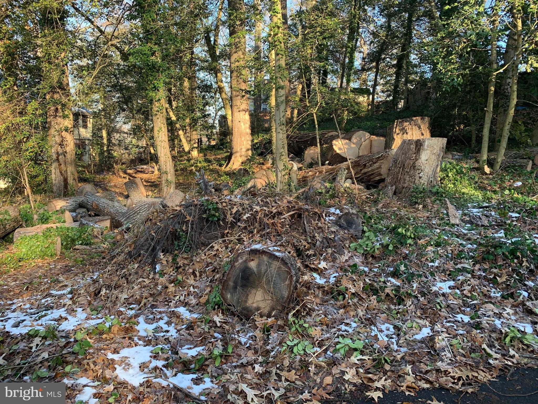 366 Walnut Trl photo 2