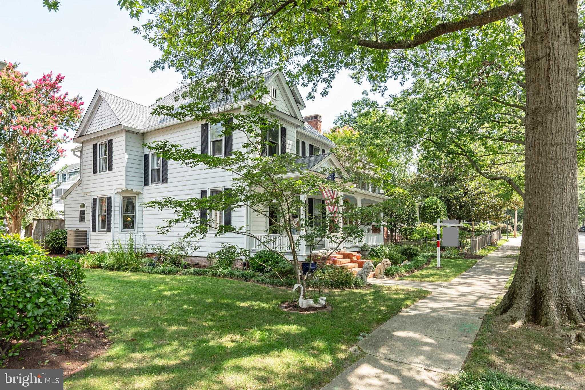 11 Brookletts Ave photo 3