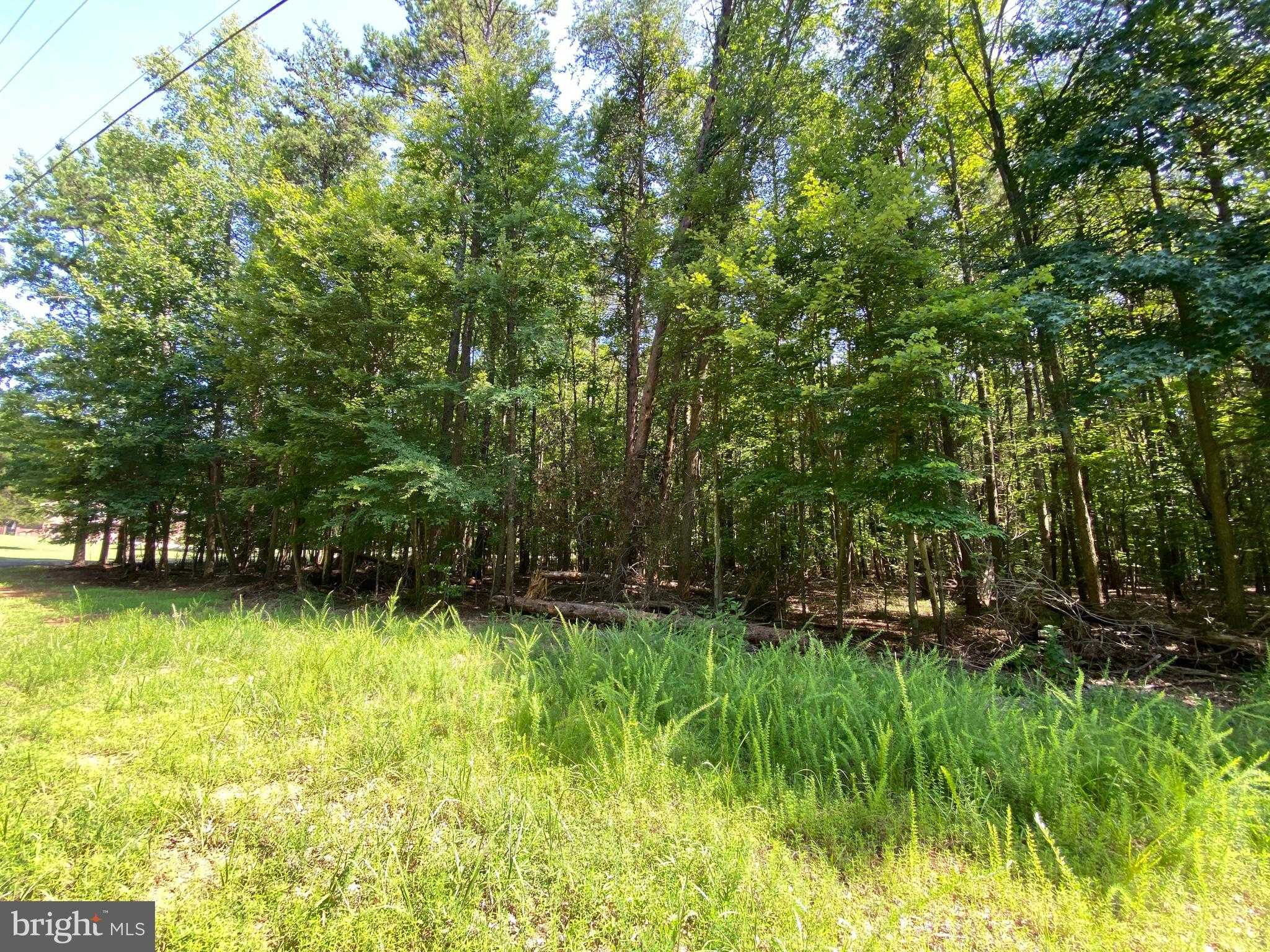 Carriage Ln photo 19