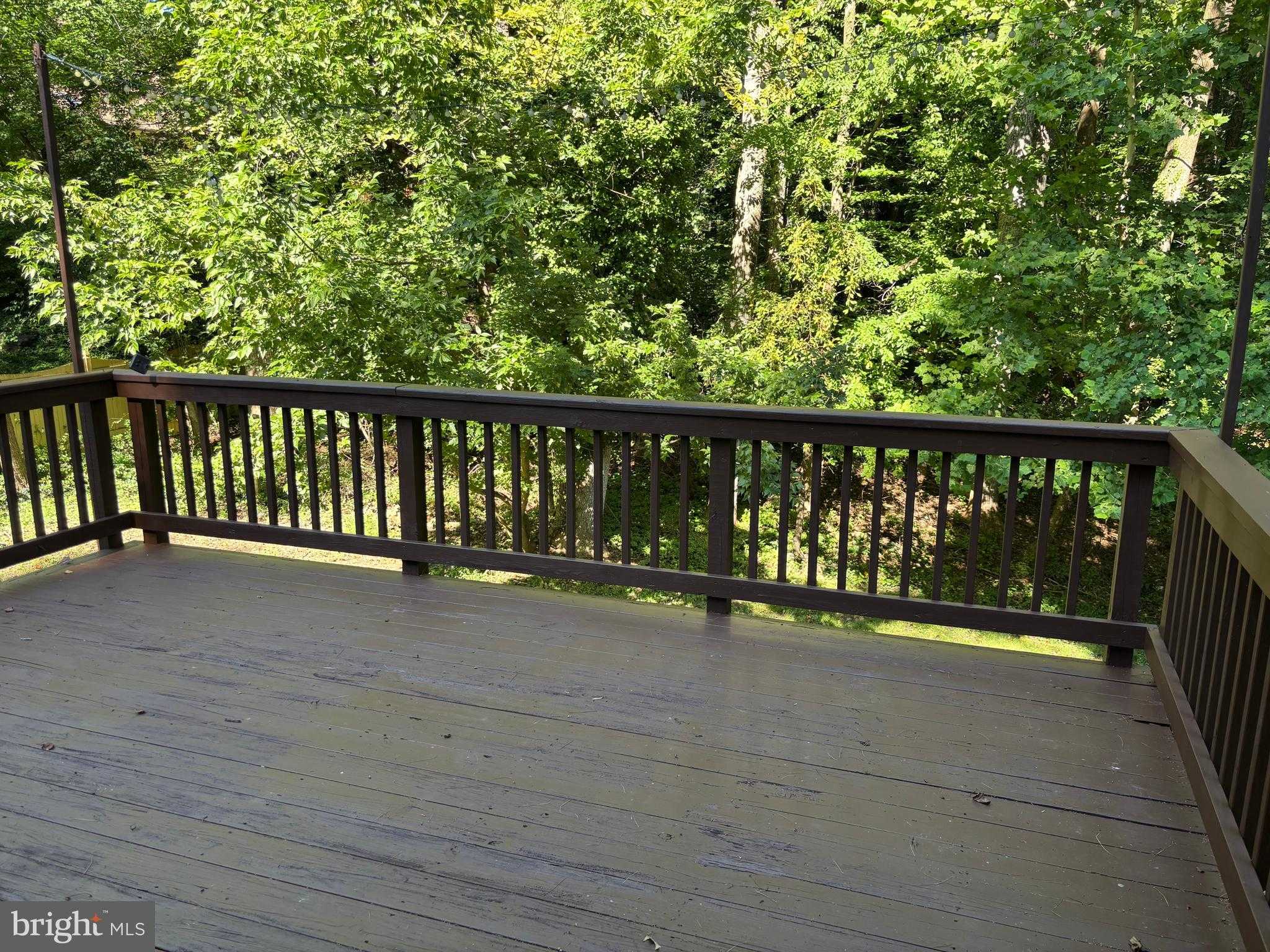 9302 Berrybrook Pl photo 37