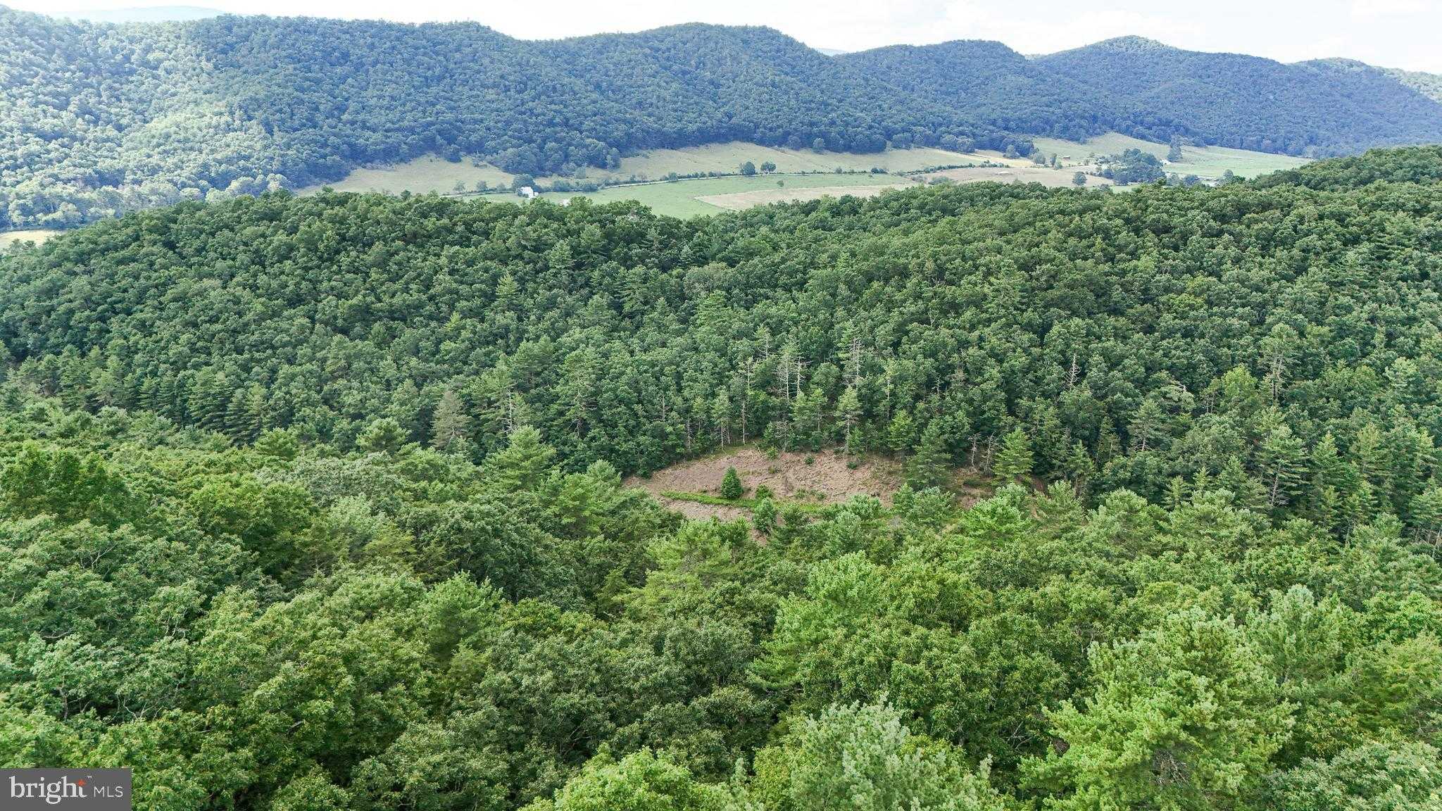 3259 Potomac Highlands Trl photo 34