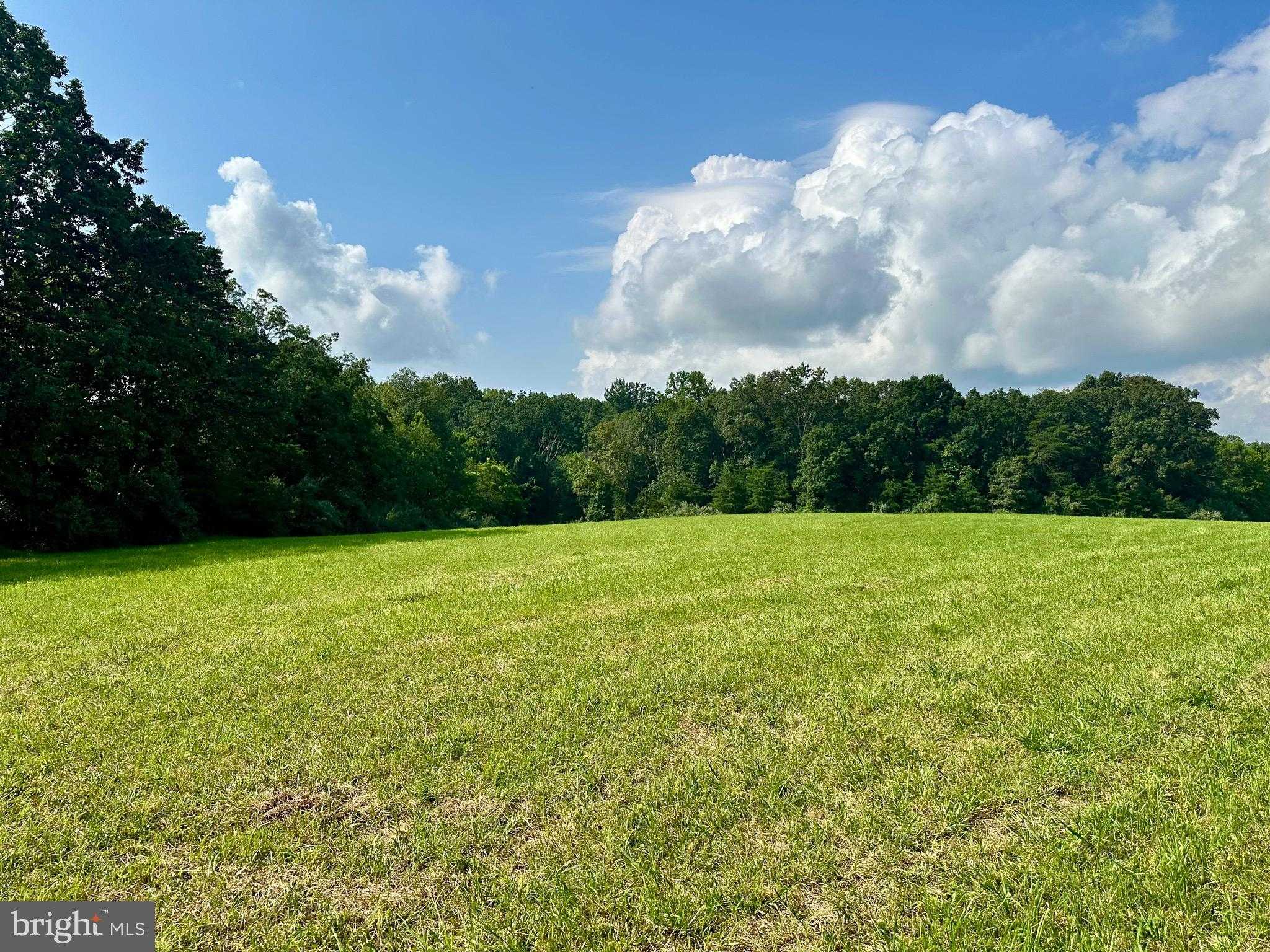 Black Hill Rd photo 2