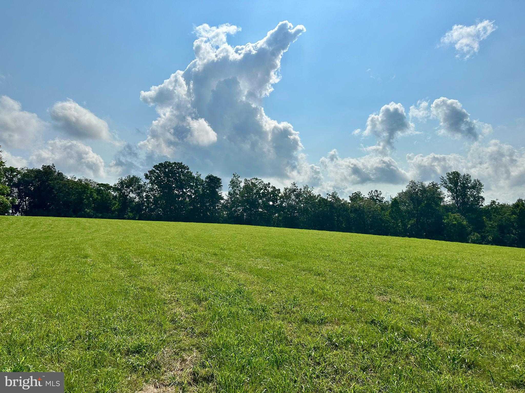 Black Hill Rd photo 3