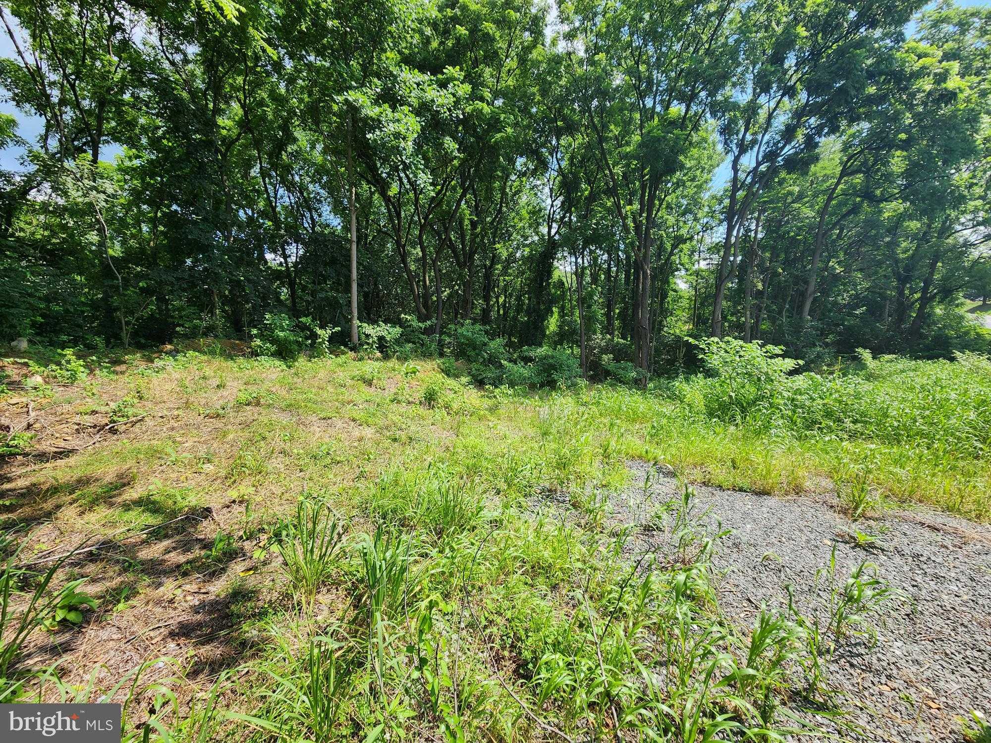 Brownsville Rd photo 3