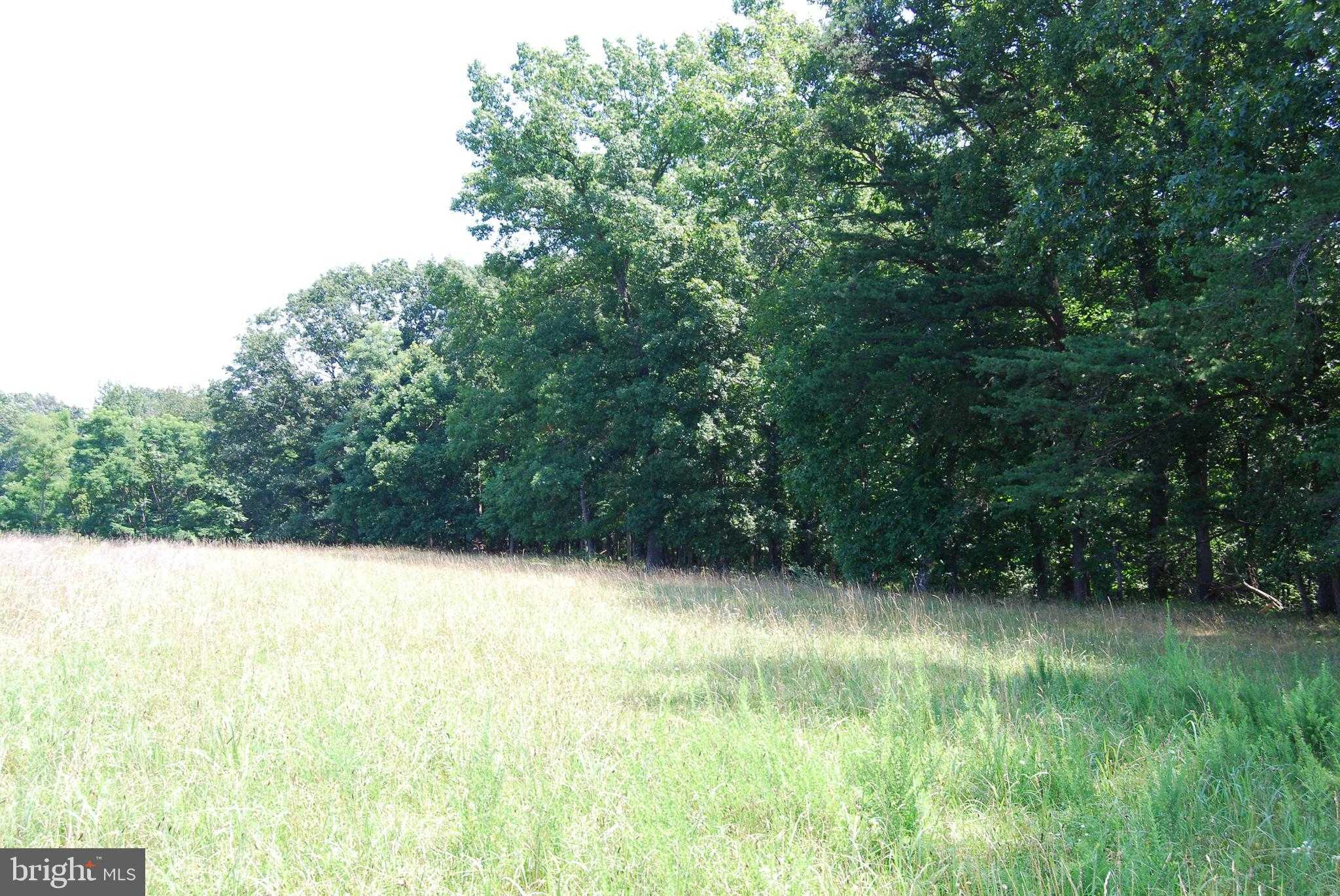 220 Stotelmyer Ln photo 22