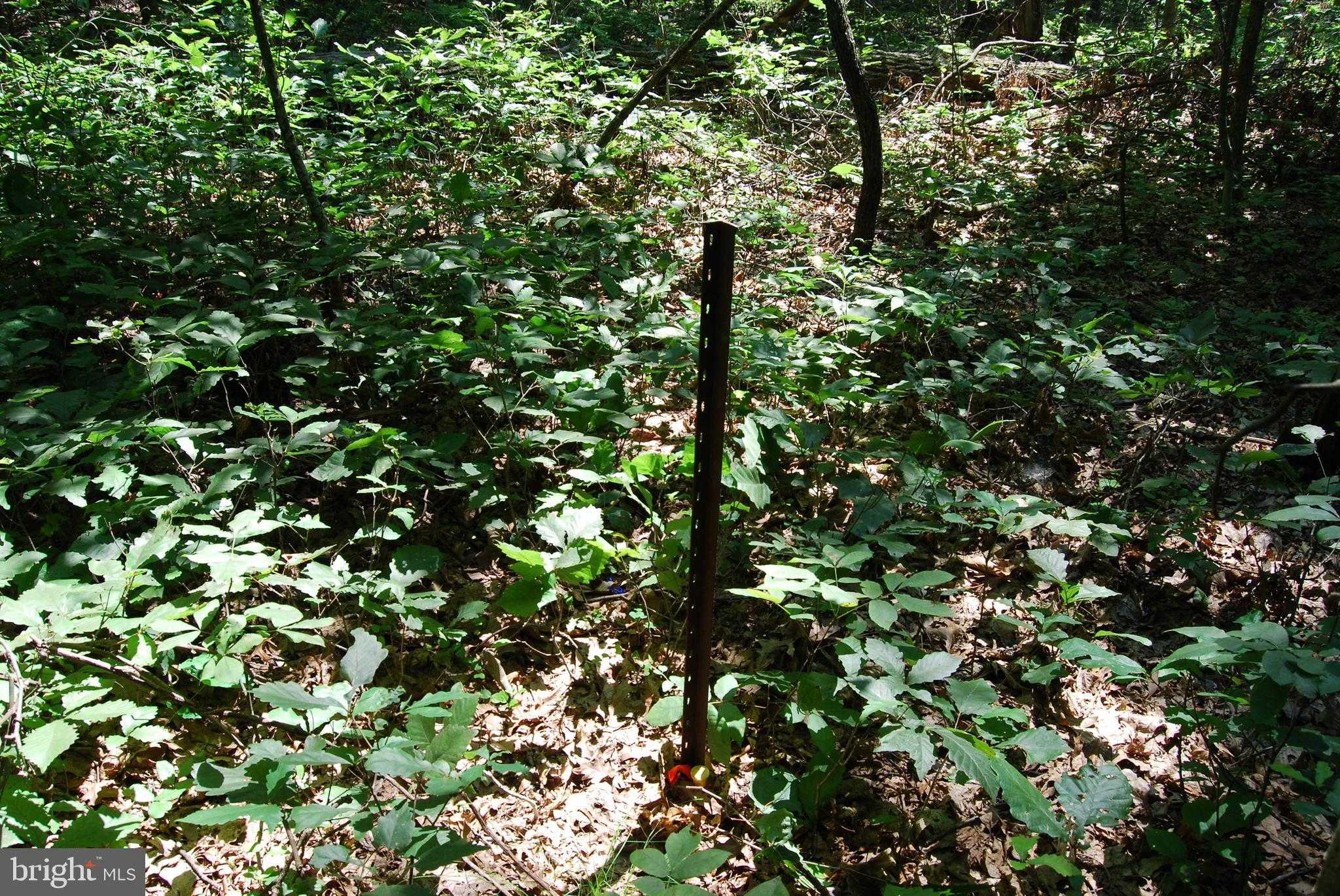 220 Stotelmyer Ln photo 26