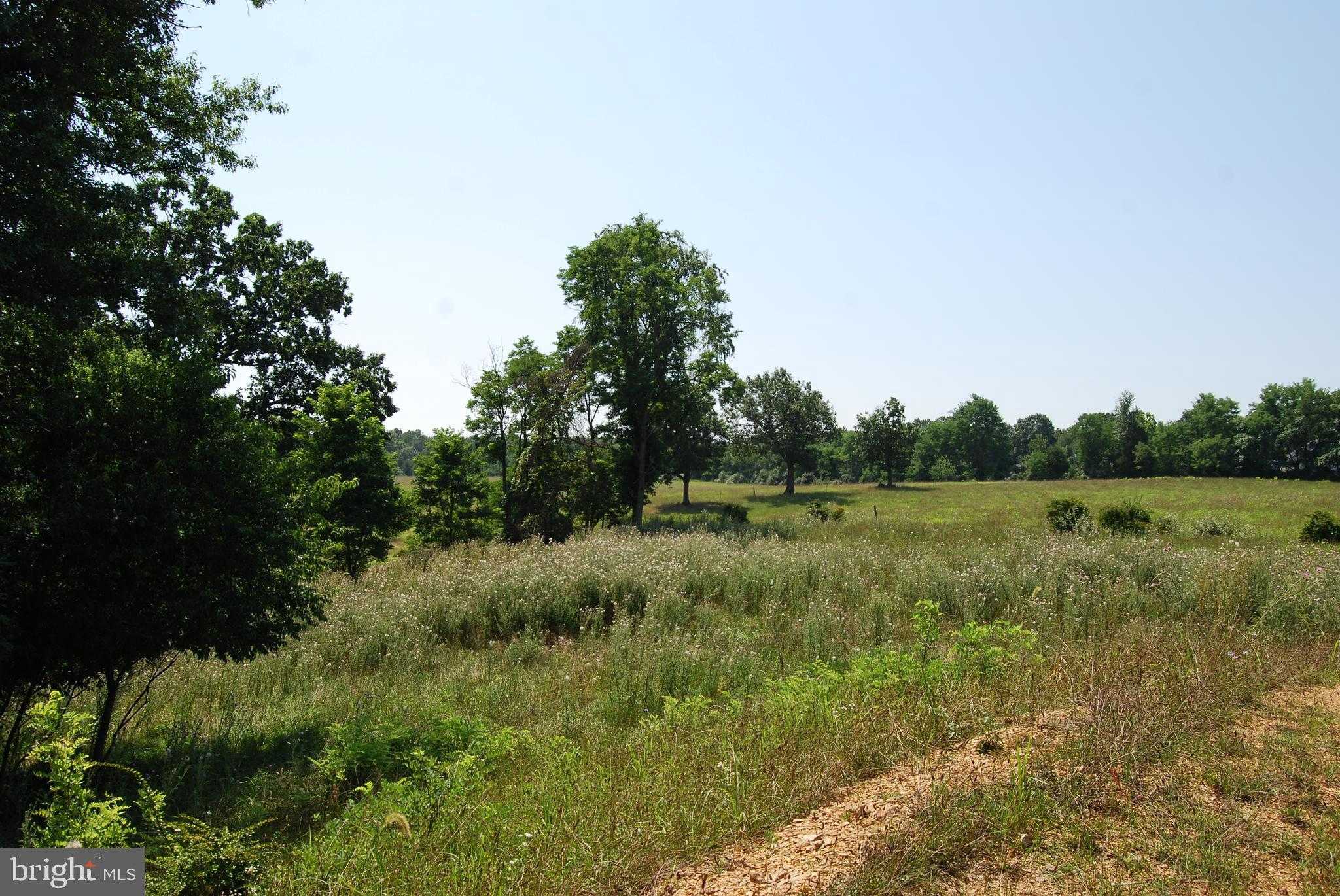 220 Stotelmyer Ln photo 55