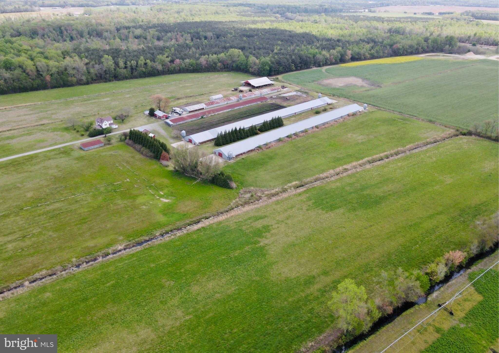 36555 Sheppards Crossing Rd photo 3