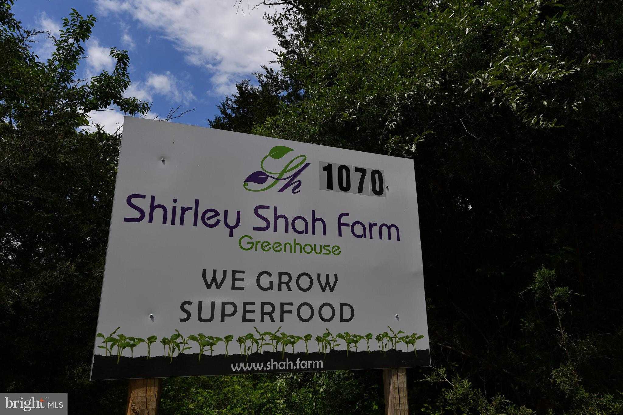 1070 Wadesville Rd photo 2