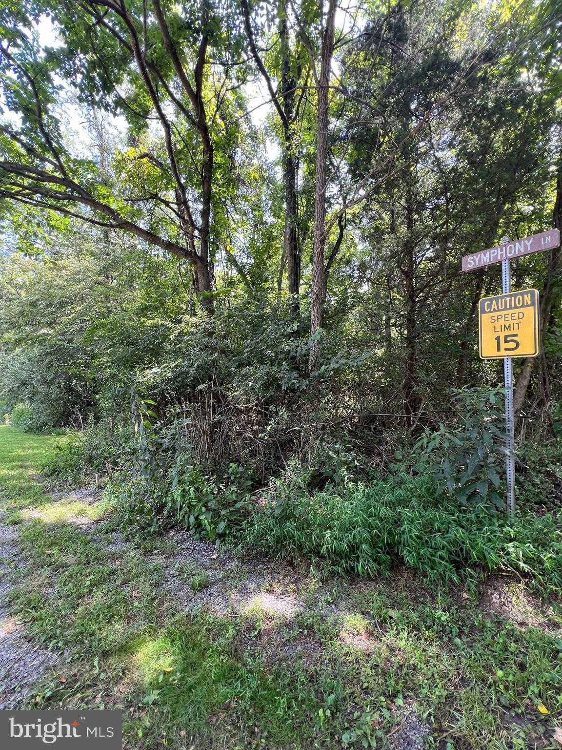 1 Symphony Ln photo 2