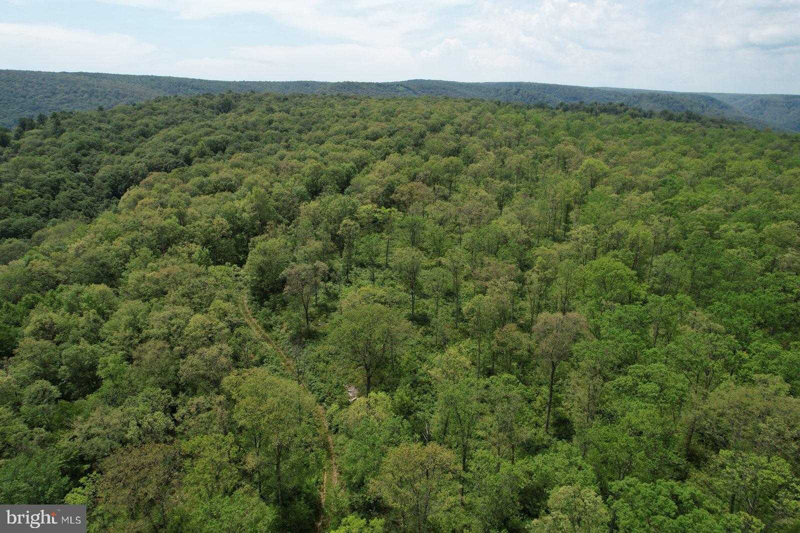 1 Beech Creek Mtn Rd photo 2