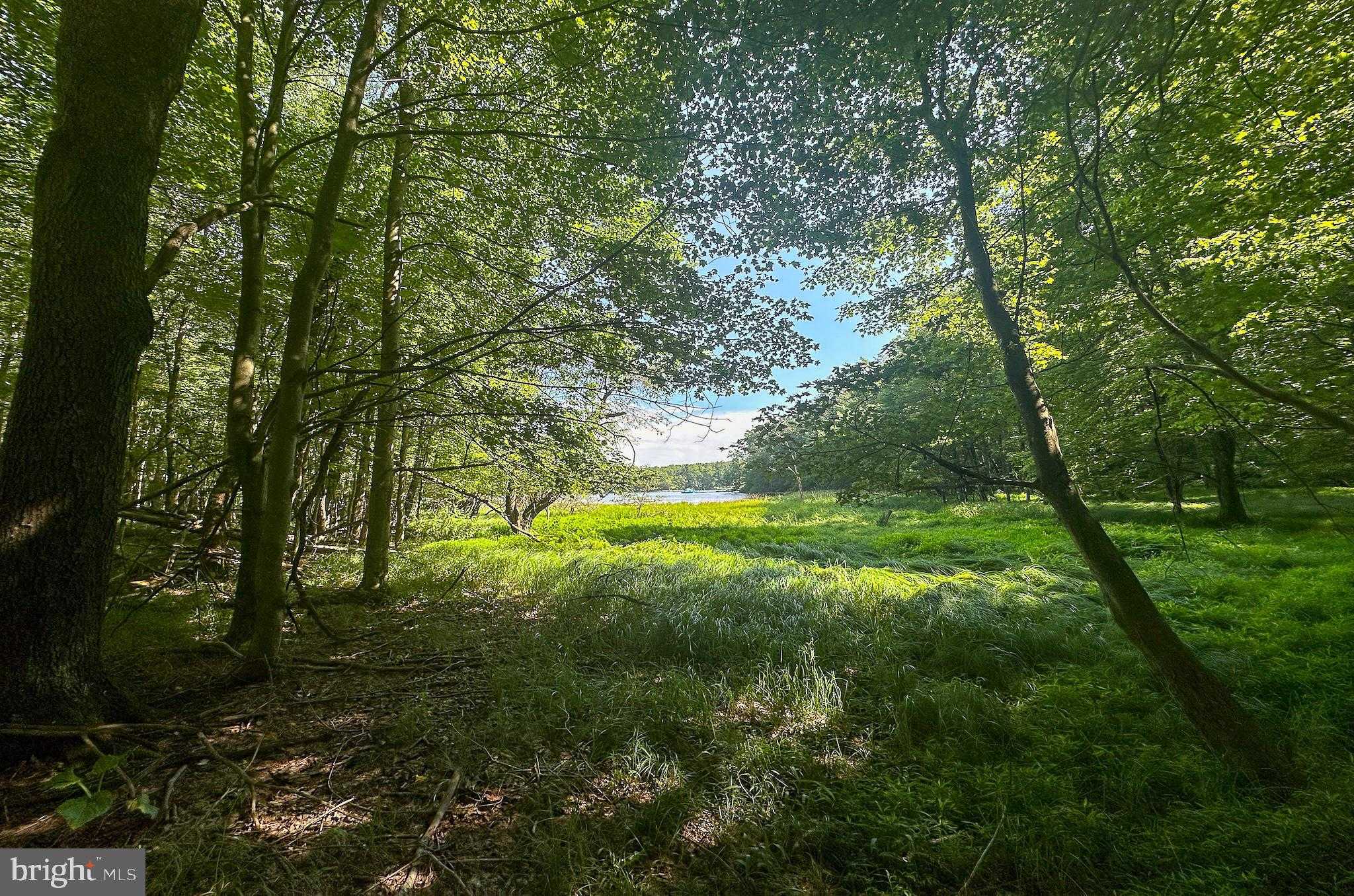 Holy Cross Dr photo 24